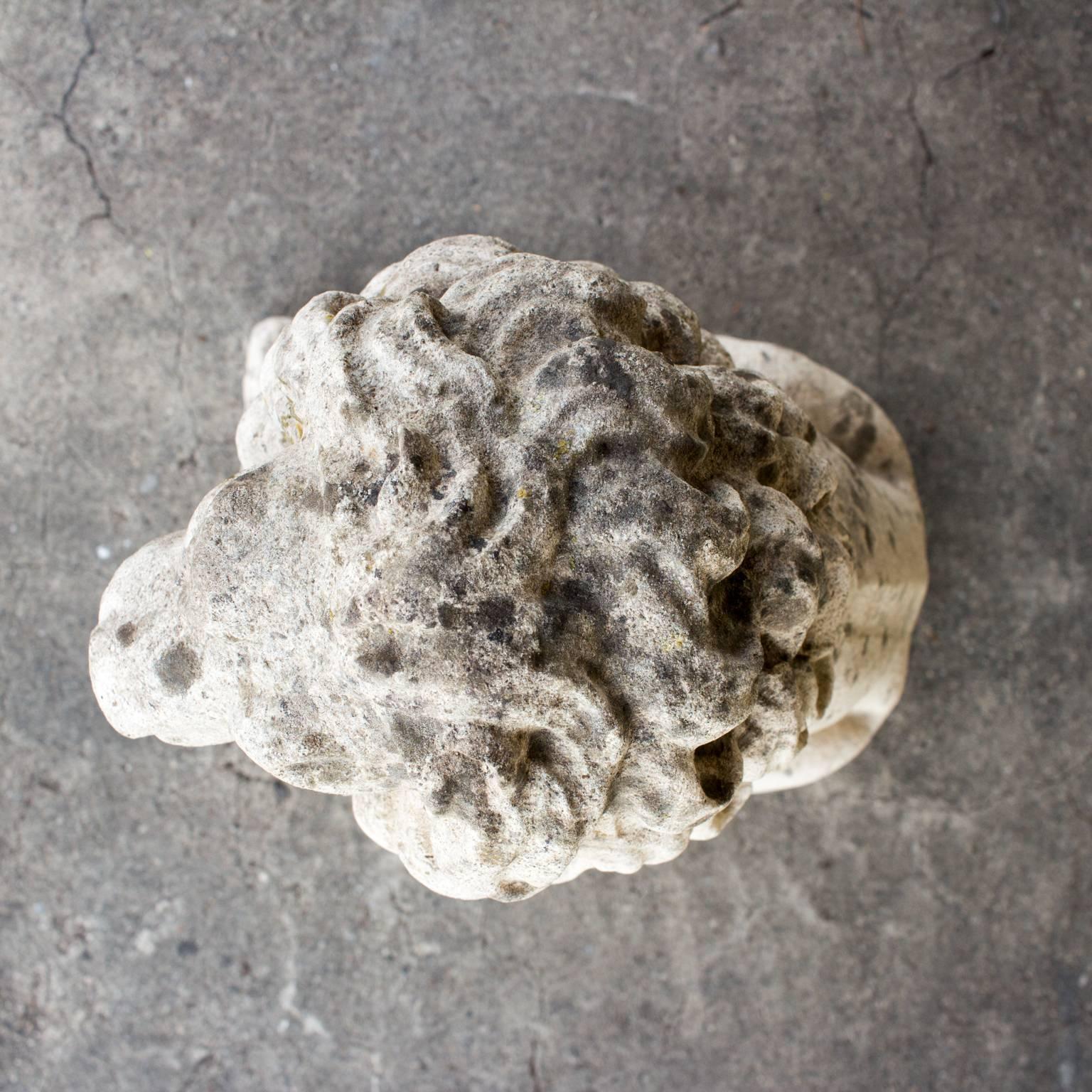 French 1920s Stone Lion Found in France