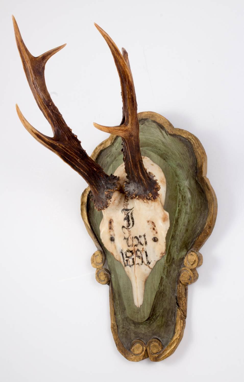 Hand-Carved 19th Century Habsburg Roe Trophy of Emperor Franz Joseph from Bad Ischl, Austria