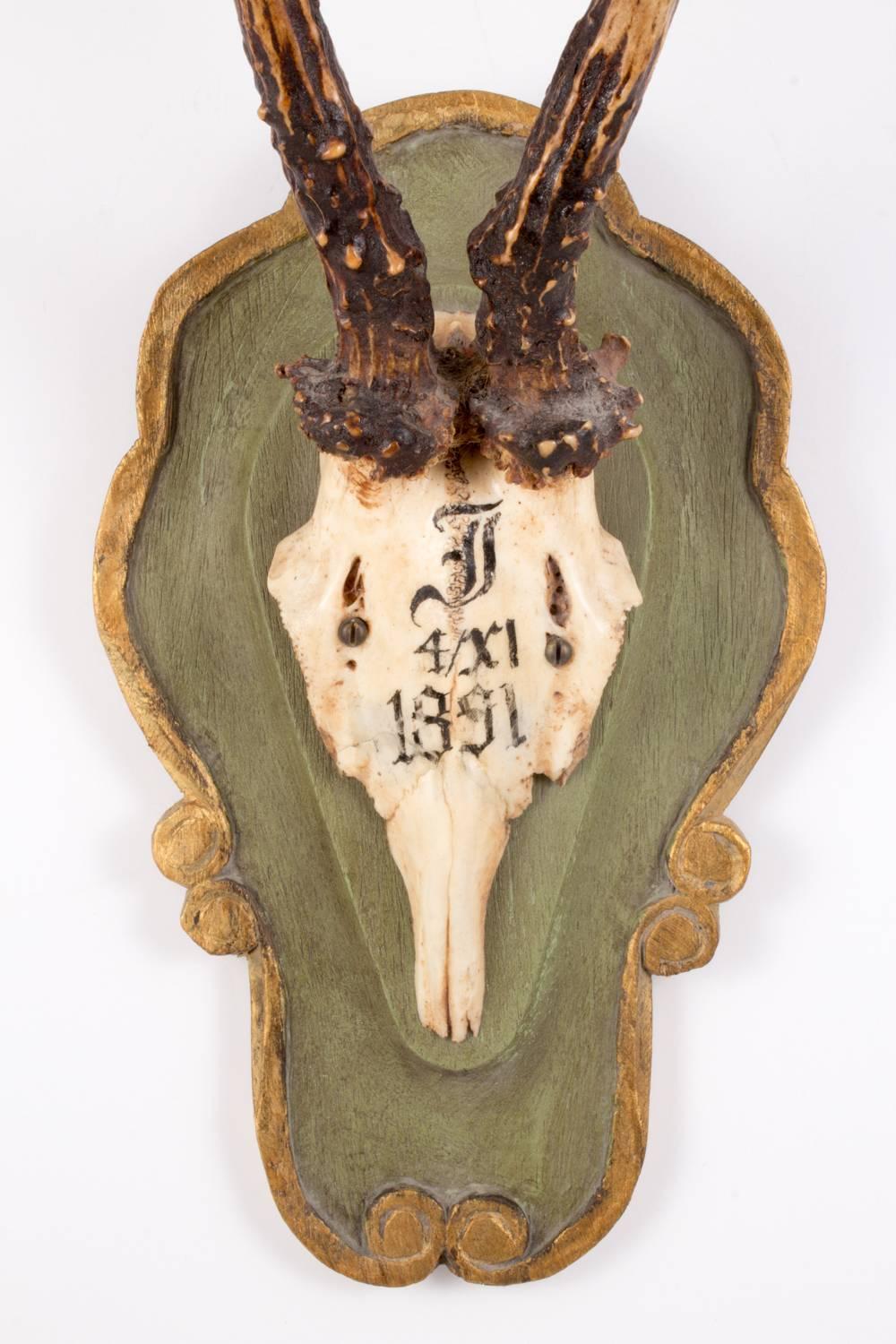 19th century Roe Deer trophy believed to have been taken by Emperor Franz Joseph during his time at the Kaiservilla, the summer palace of the great Austro-Hungarian monarchy in the small village of Bad Ischl, Austria. Original plaque and writing on