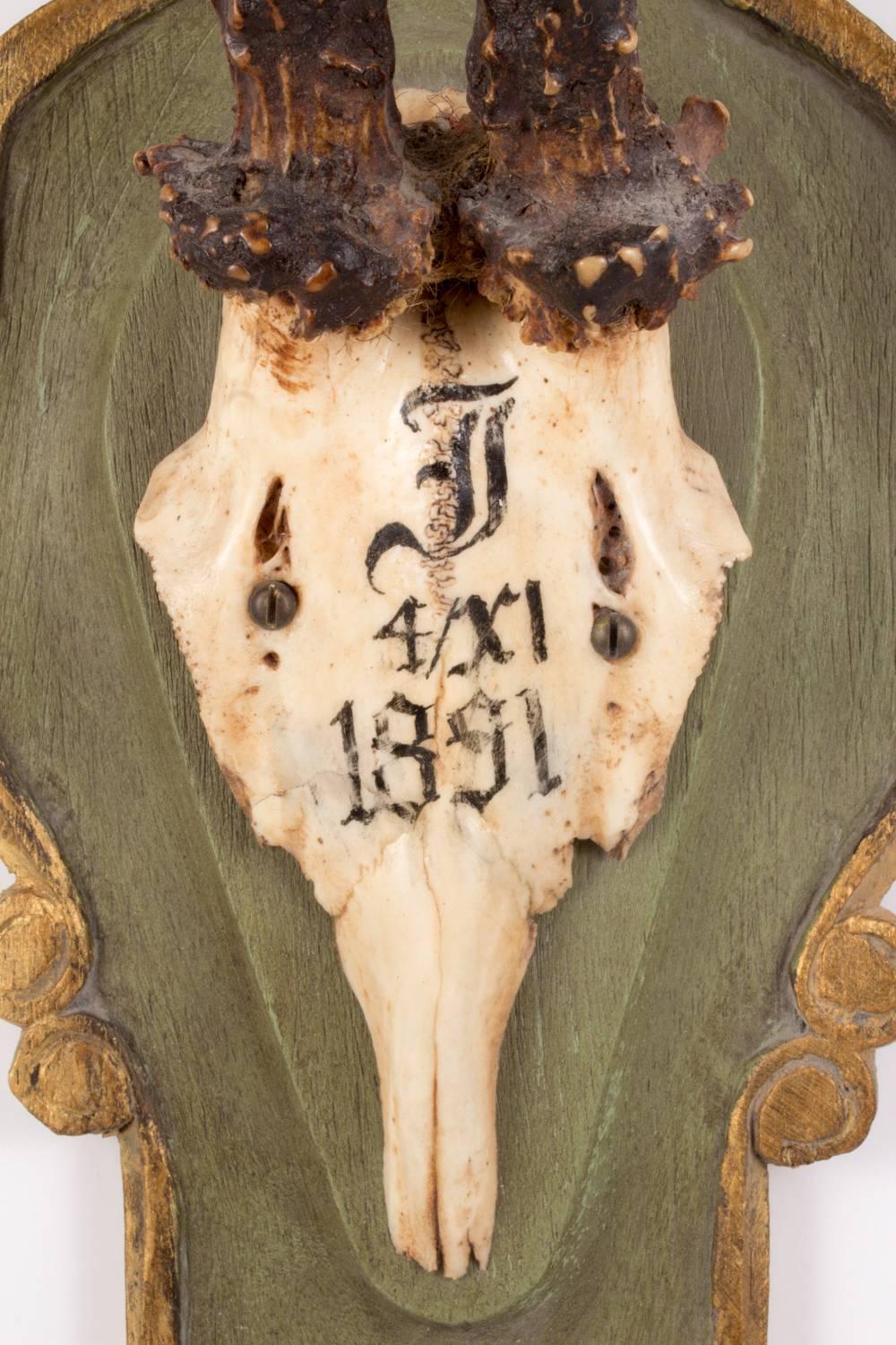 Black Forest Antique Habsburg Roe Trophy from the Kaiservilla in Bad Ischl, Austria
