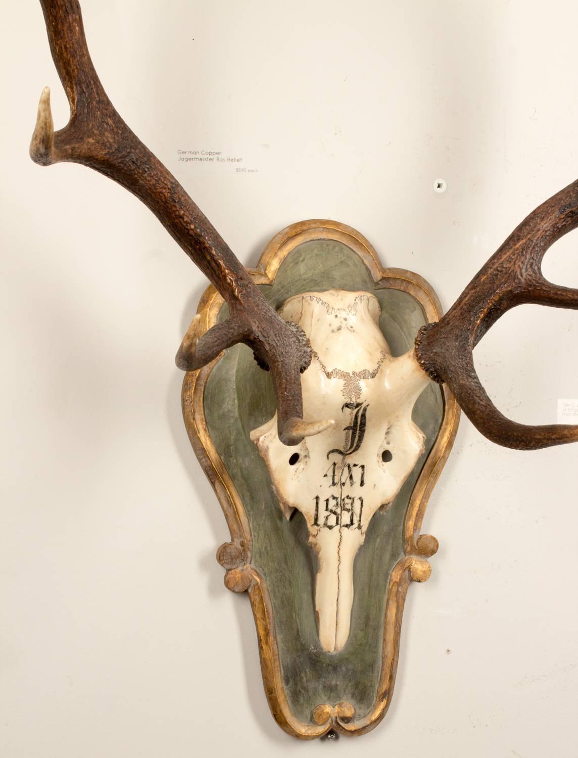 One of two antique Red Stag hunt trophies believed to have been taken by Emperor Franz Joseph of Austria during his time at the Kaiservilla, the former summer capital of the great Austro-Hungarian monarchy in the village of Bad Ischl. Beautiful
