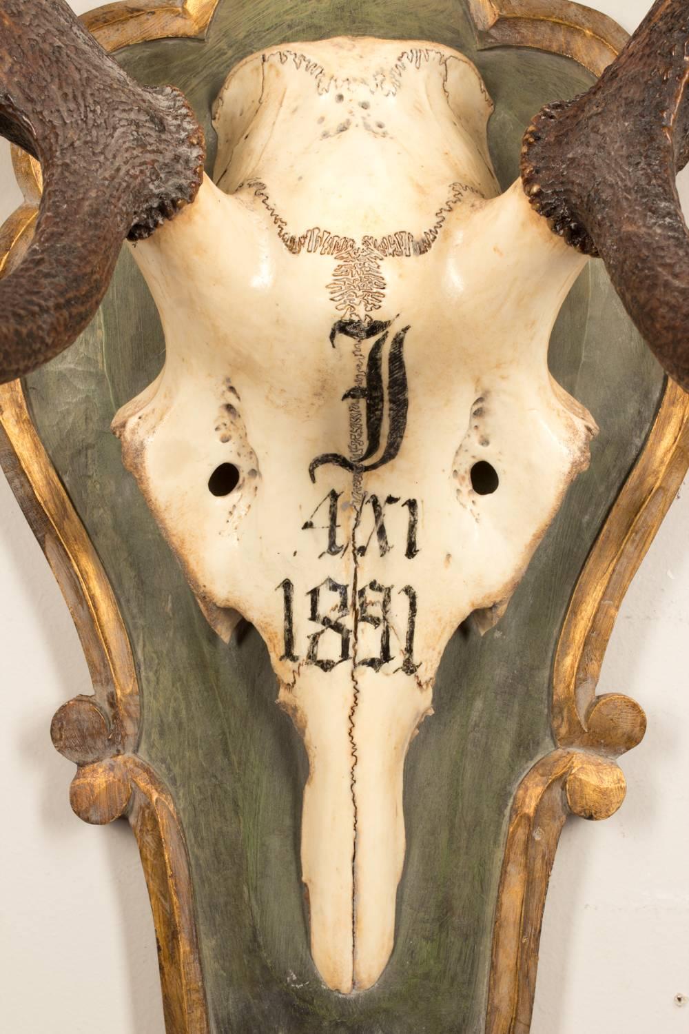 Austrian 19th Century Red Stag Trophy of Emperor Franz Joseph from Bad Ischl Austria