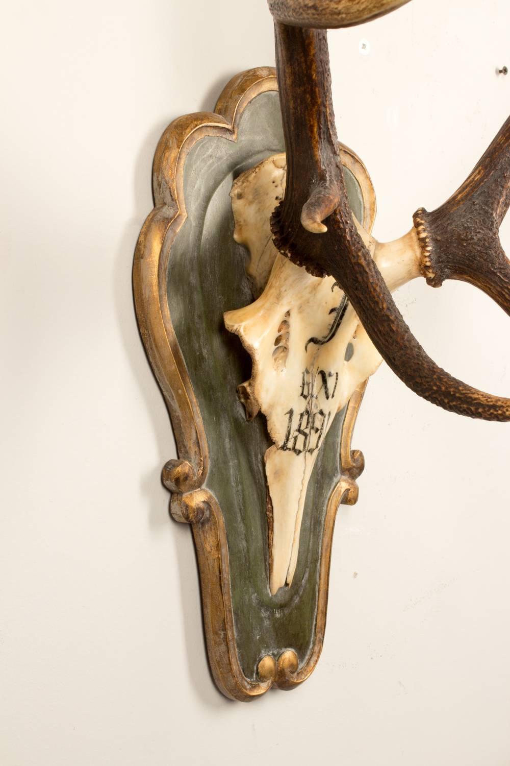 Hand-Carved 19th Century Red Stag Hunt Trophy of Emperor Franz Joseph's Kaiservilla