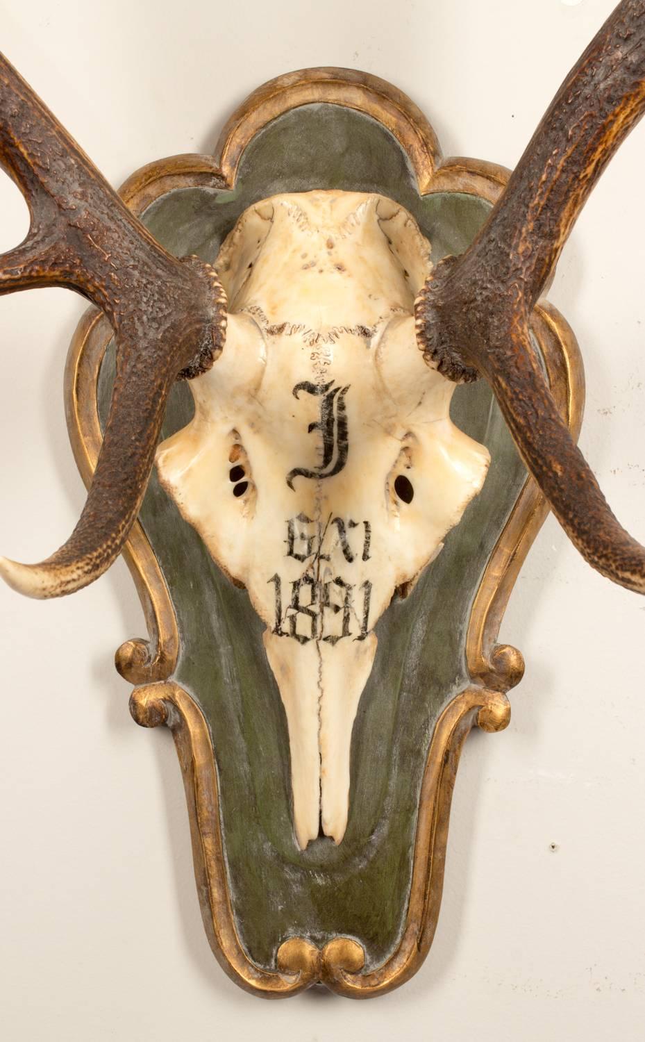 One of two antique Red Stag hunt trophies believed to have been taken by Emperor Franz Joseph of Austria during his time at the Kaiservilla, the former summer capital of the great Austro-Hungarian monarchy in the village of Bad Ischl. Beautiful