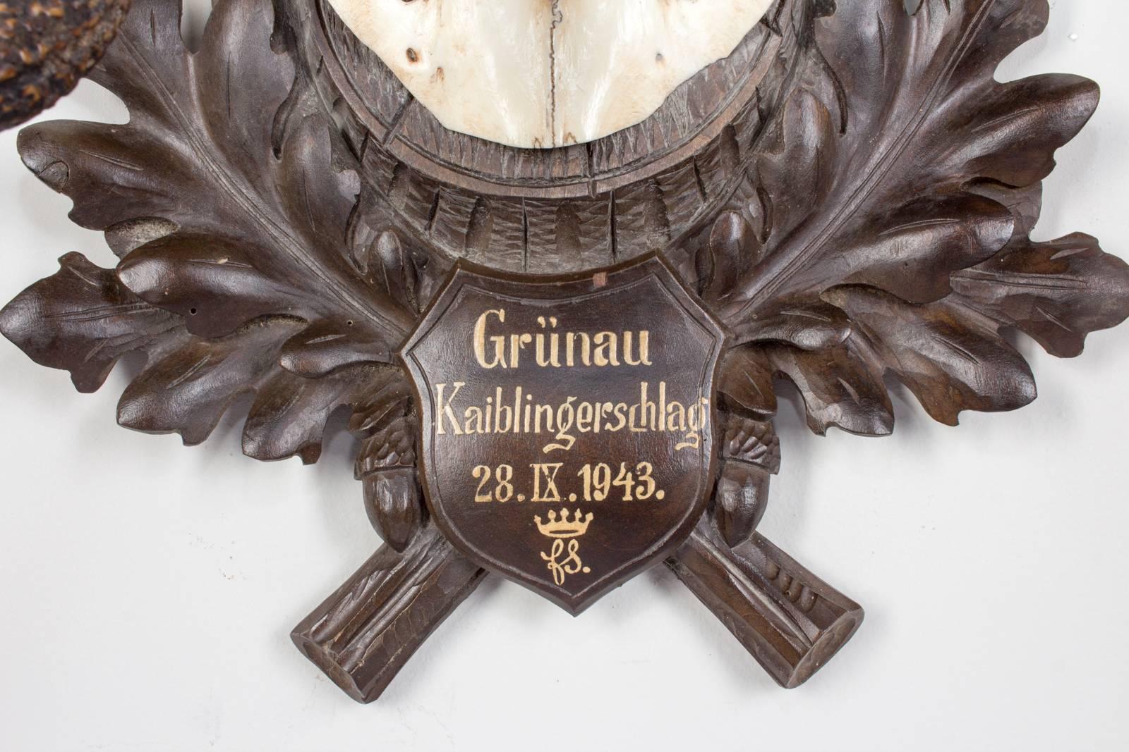 Hand-Carved 1940s German Red Stag Trophy on Black Forest Plaque from Grünau Valley Austria