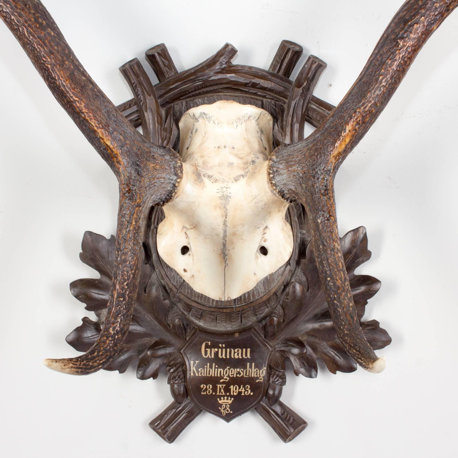 This is a half-cap red stag trophy mounted on an original Black Forest plaque featuring hand-painted writing on the plaque. The writing reads 