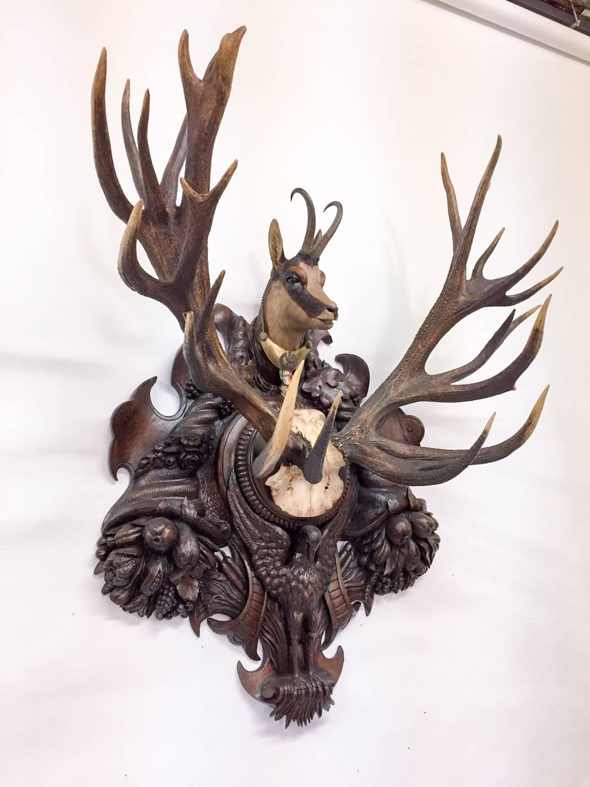 This double mount trophy features both a Red Stag and a Pyrenees chamois mounted on an original black forest plaque, decorated with a Napoleonic gorget and French Medal of Honor. The carvings on this plaque include a to-scale carved Pyrenees Chamois