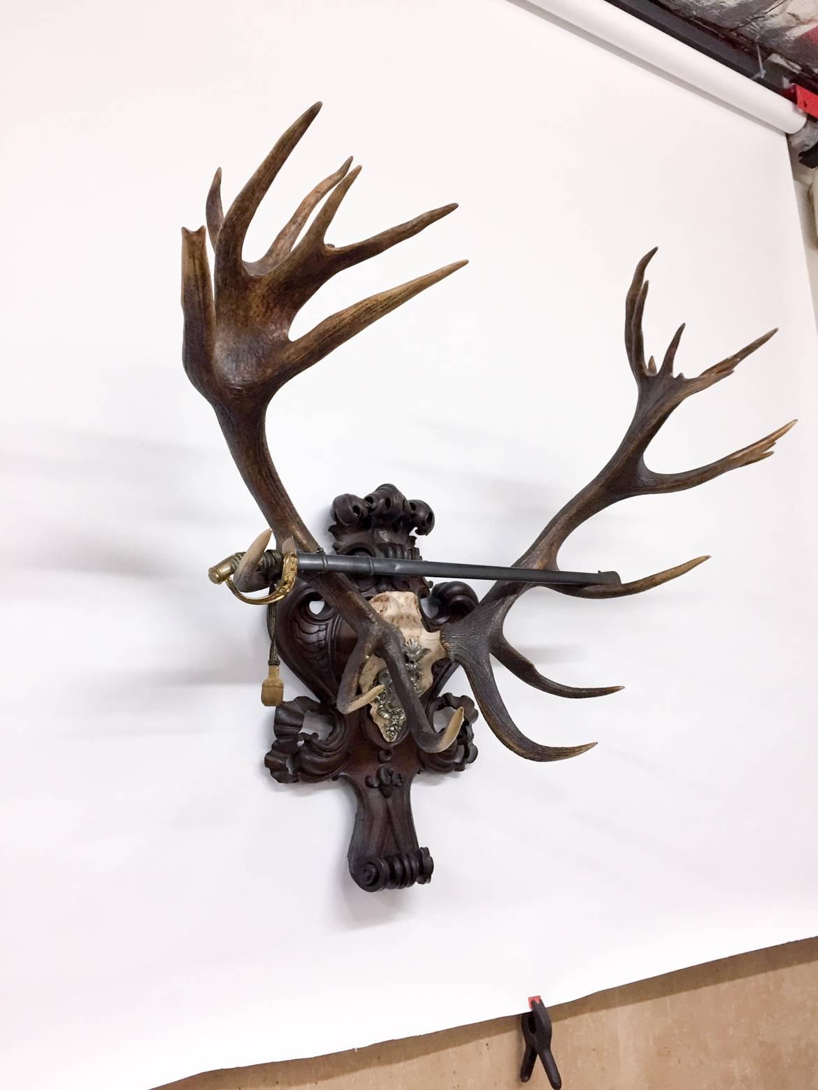 This 19th century Austrian Red Stag trophy is mounted on an original, Black Forest plaque and features an original Royal commemorative plaque from 1899. The sword was the original dress sword of Kaiser Wilhelm II of Germany, and features a sharkskin