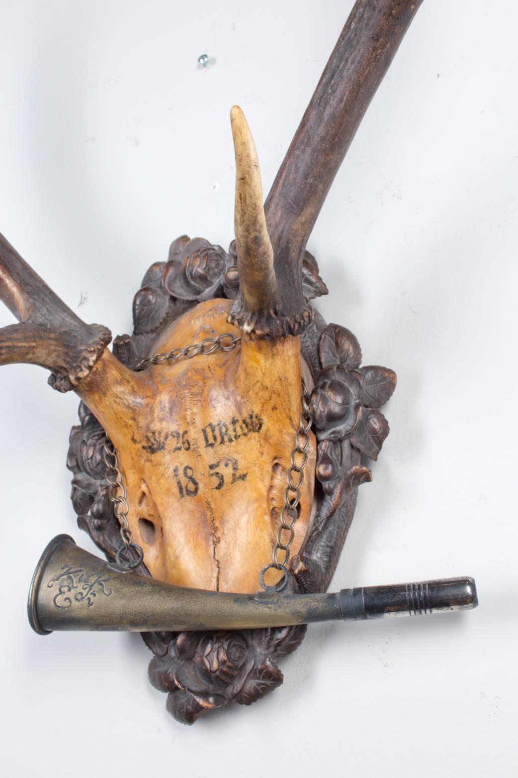 19th Century Austrian Red Stag Trophy of Emperor Franz Josef, Original Hunt Horn 2