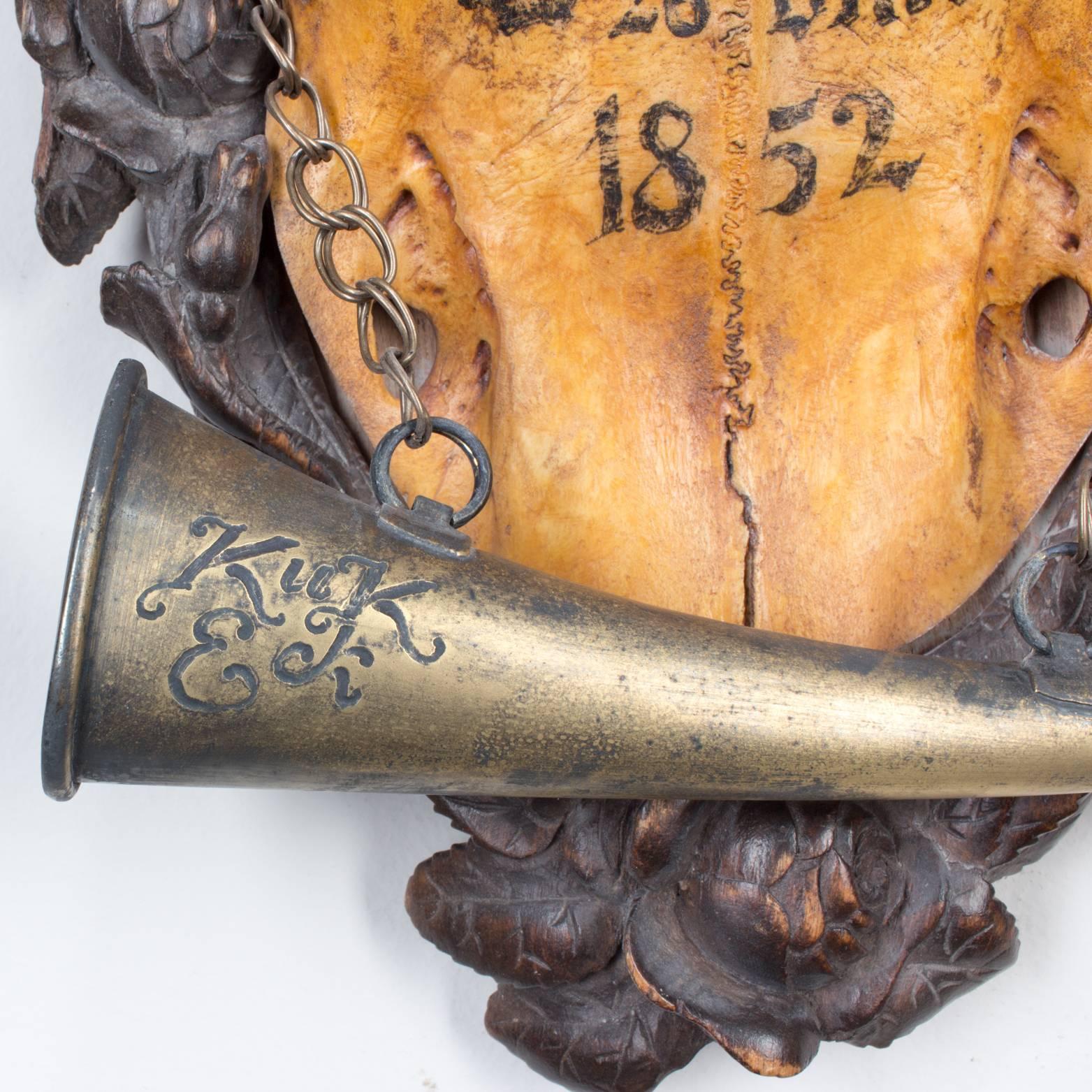 19th Century Austrian Red Stag Trophy of Emperor Franz Josef, Original Hunt Horn In Excellent Condition In Houston, TX