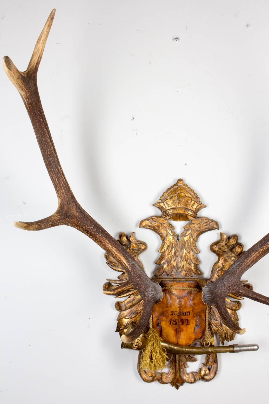 Austrian Red Stag Trophy on Gilt Eagle Plaque with Original Hunt Horn 3