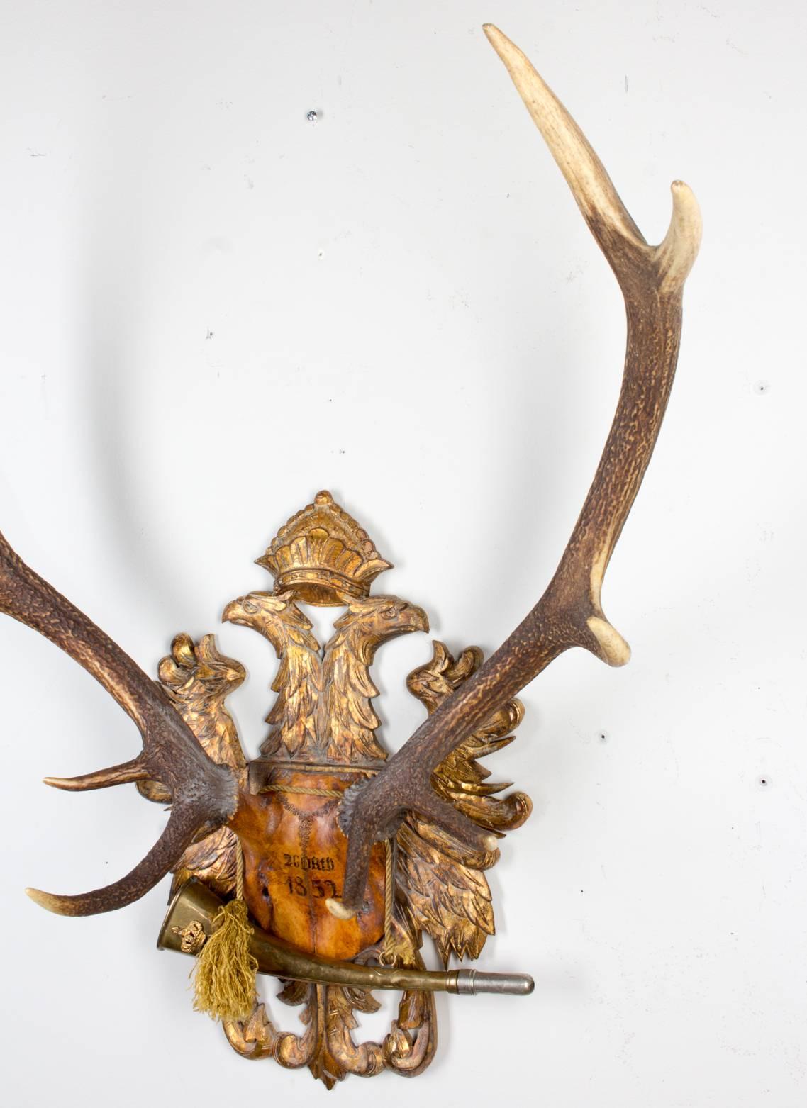 Austrian Red Stag Trophy on Gilt Eagle Plaque with Original Hunt Horn 2