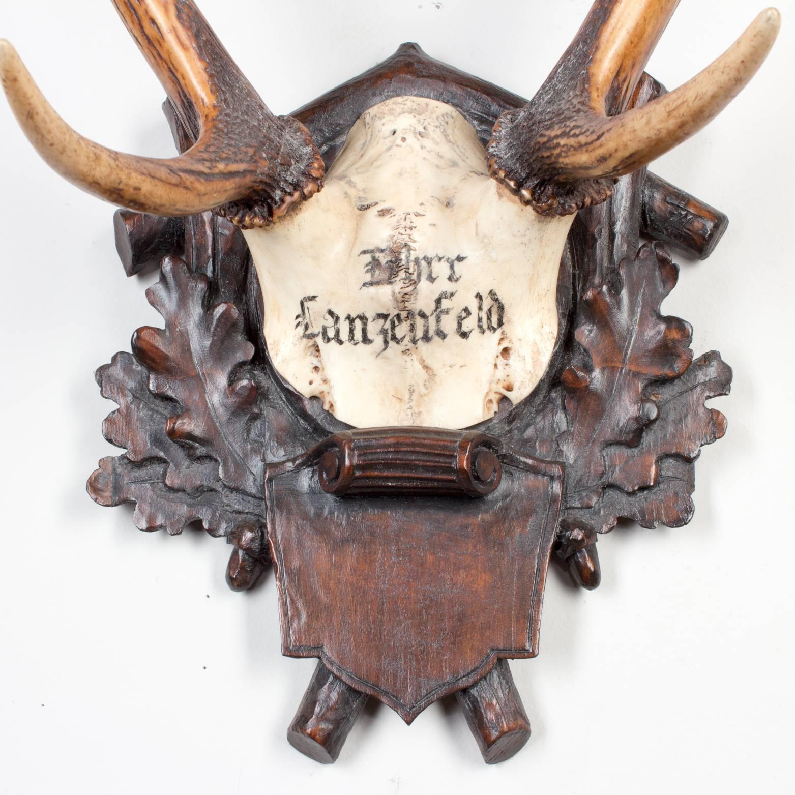 19th century Austrian red stag on original Black Forest carved plaque that hung in Emperor Franz Josef's castle at Eckartsau in the Southern Austrian Alps. Eckartsau was a favorite hunting schloss of the Habsburg family. The plaque itself is an