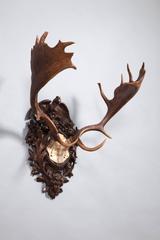 19th Century Fallow Deer with Elaborate Imperial Eagle Black Forest Carving