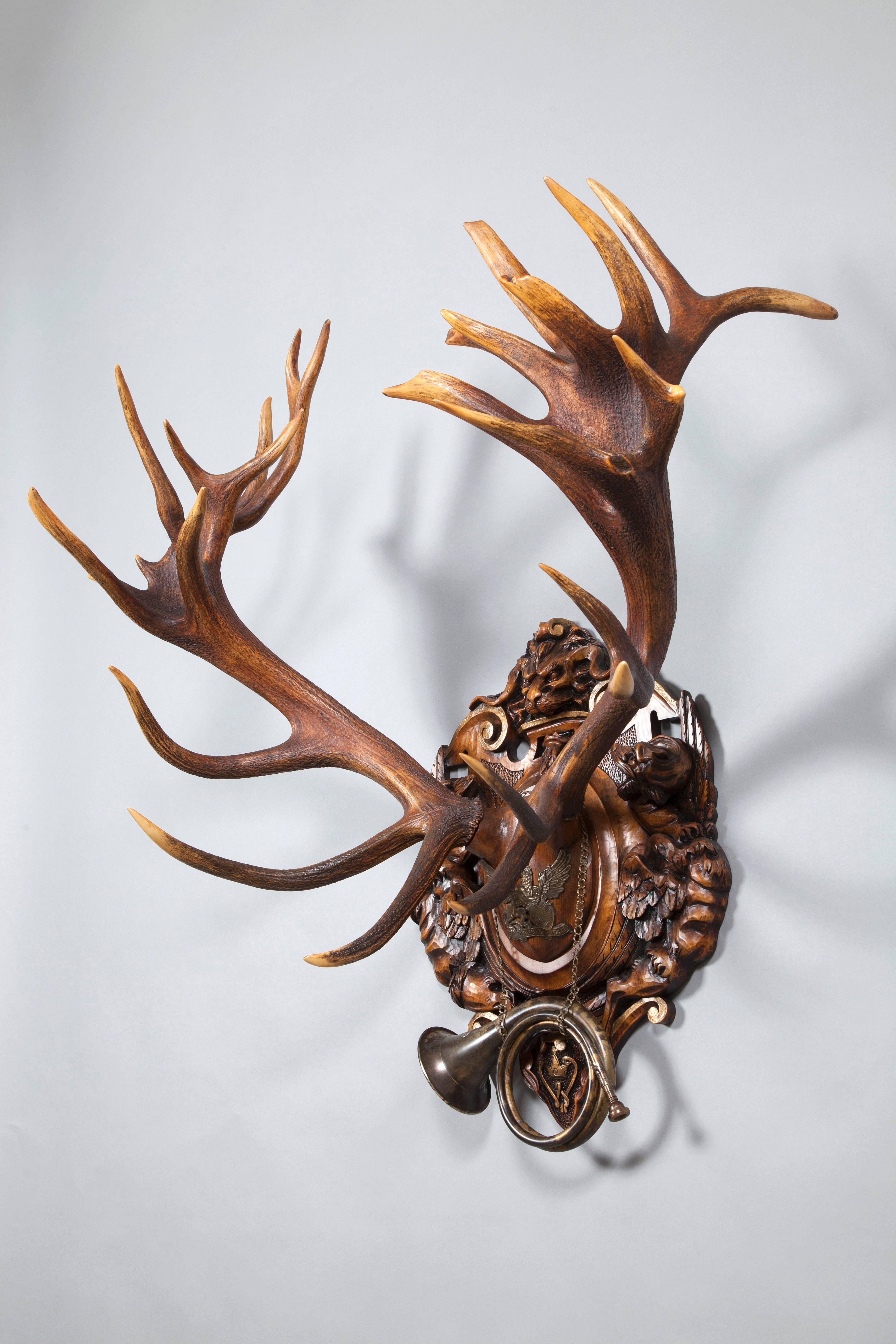 Black Forest 19th Century Red Stag from 1892 Eulenburg Hunt of Kaiser Wilhelm II