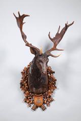 Hand-Carved Fallow Deer Pair Originating from Eckartsau Castle, Austria