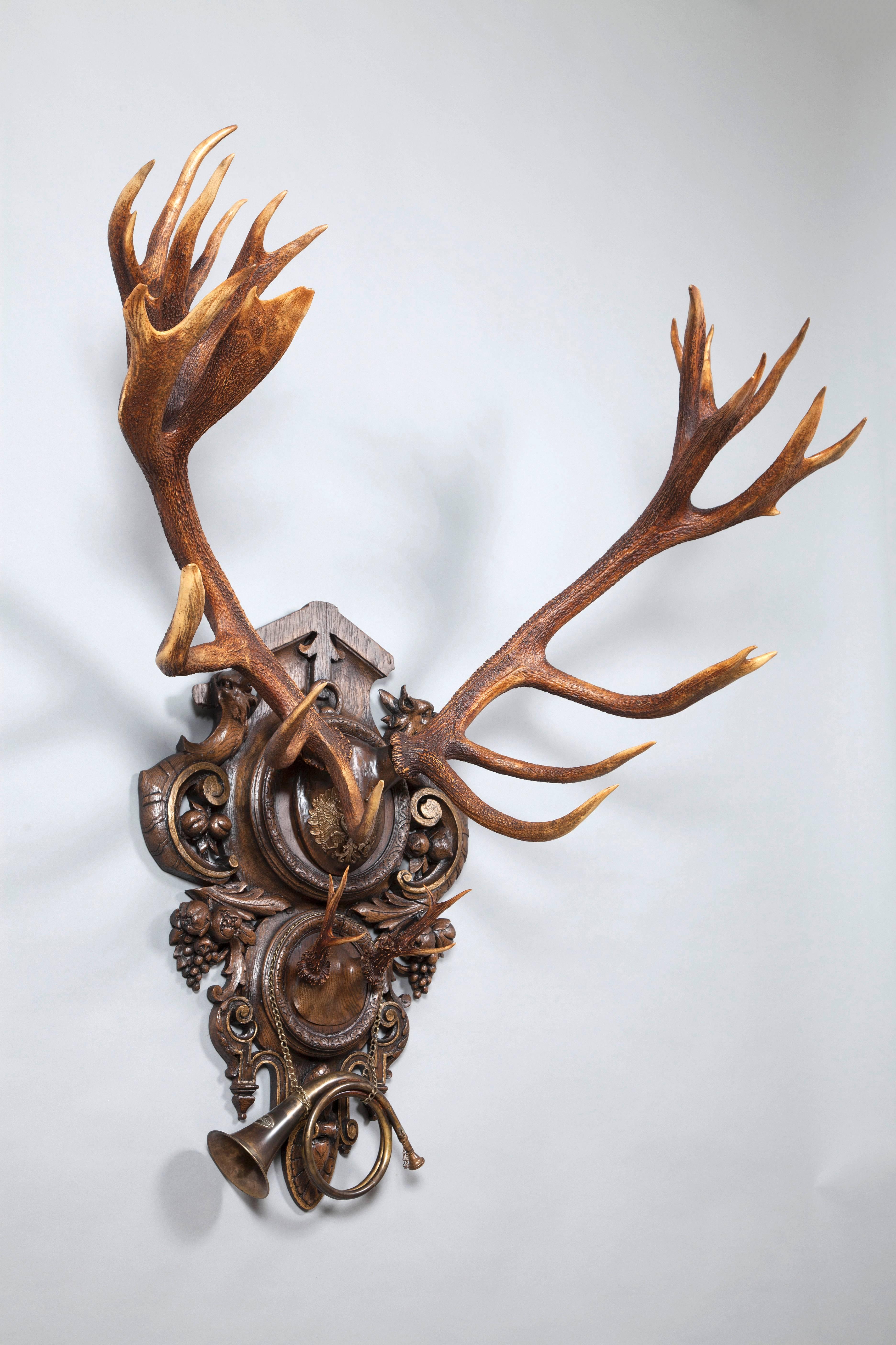 Black Forest 19th Century Red Stag Trophy from 1892 Eulenburg Hunt of Kaiser Wilhelm II