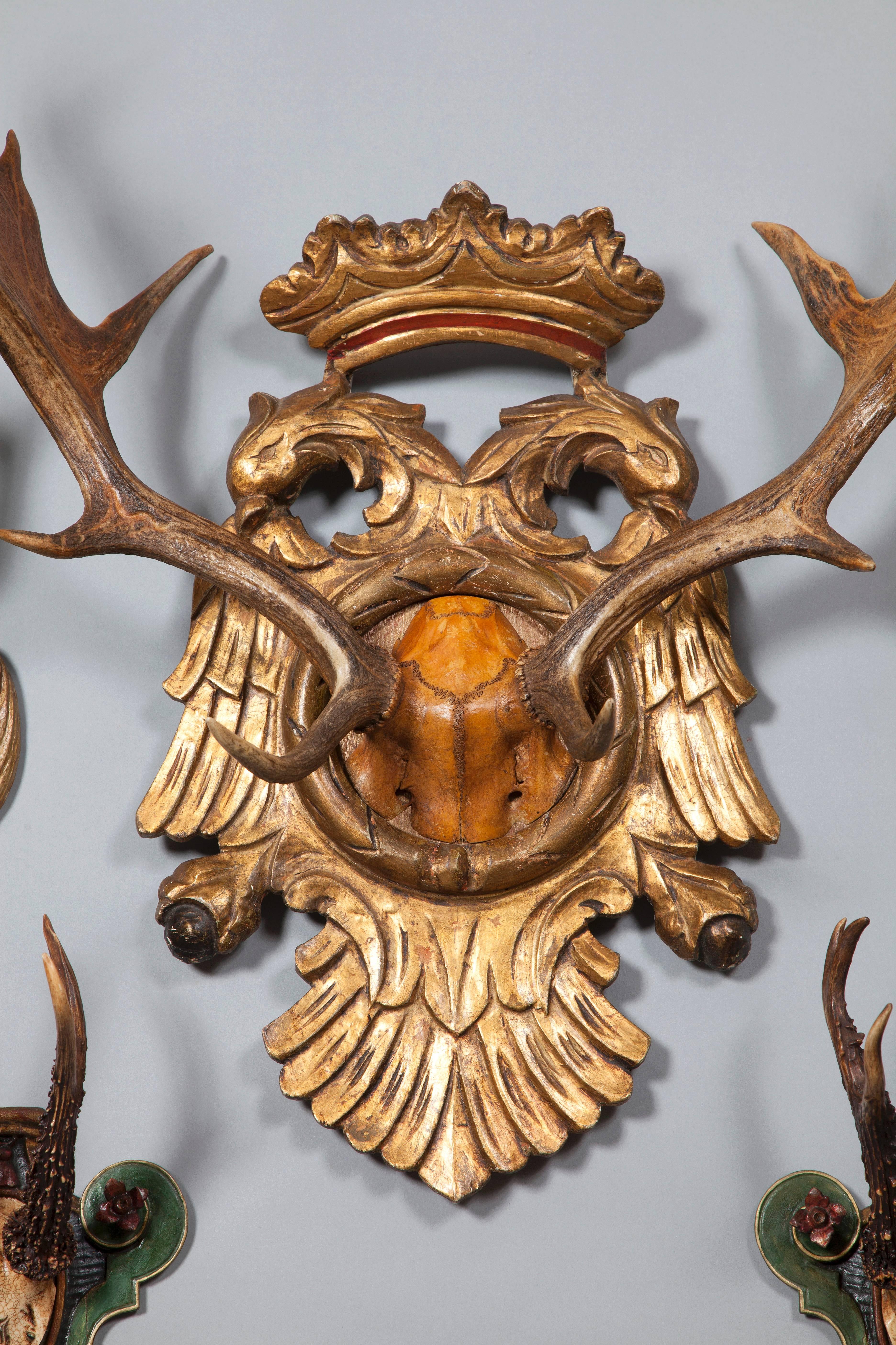 Historic Collection of Hunting Trophies Reputedly from the Personal Collection of Emperor Franz Joseph.

One historic 