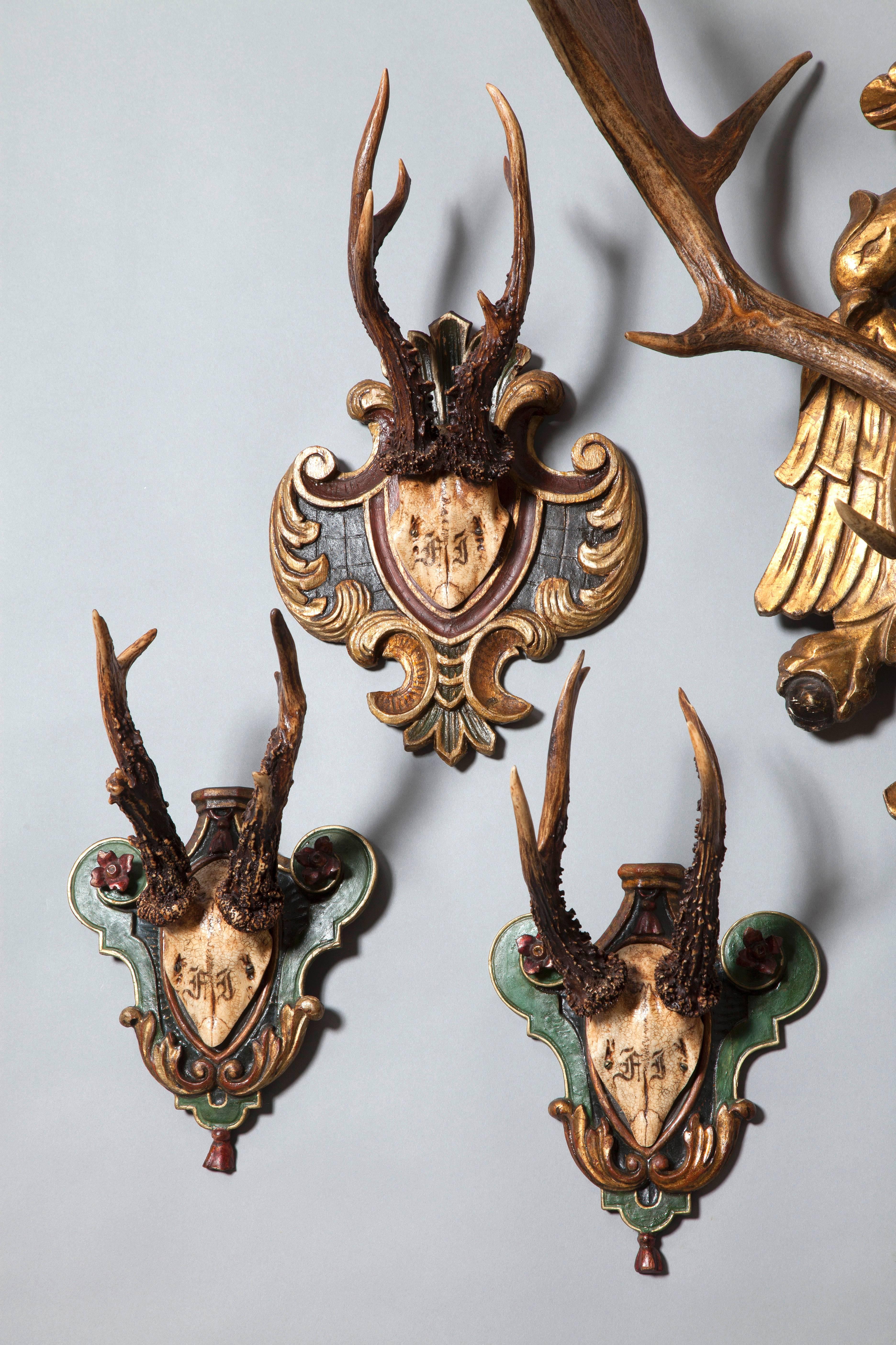 19th Century Historic Collection of Hunting Trophies
