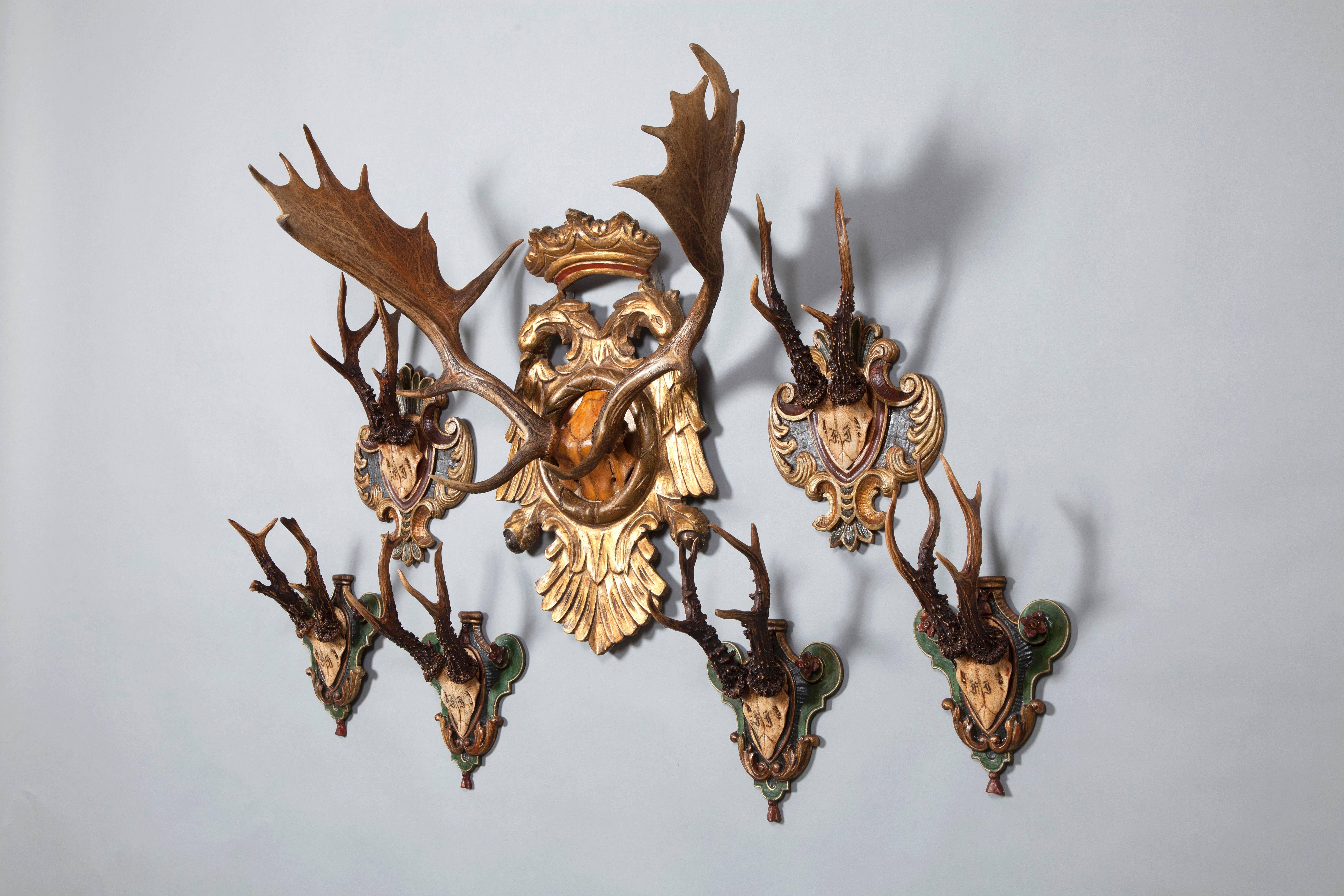 Austrian Historic Collection of Hunting Trophies