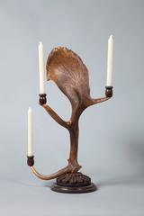 Antique Habsburg Fallow Deer Antler Candelabra