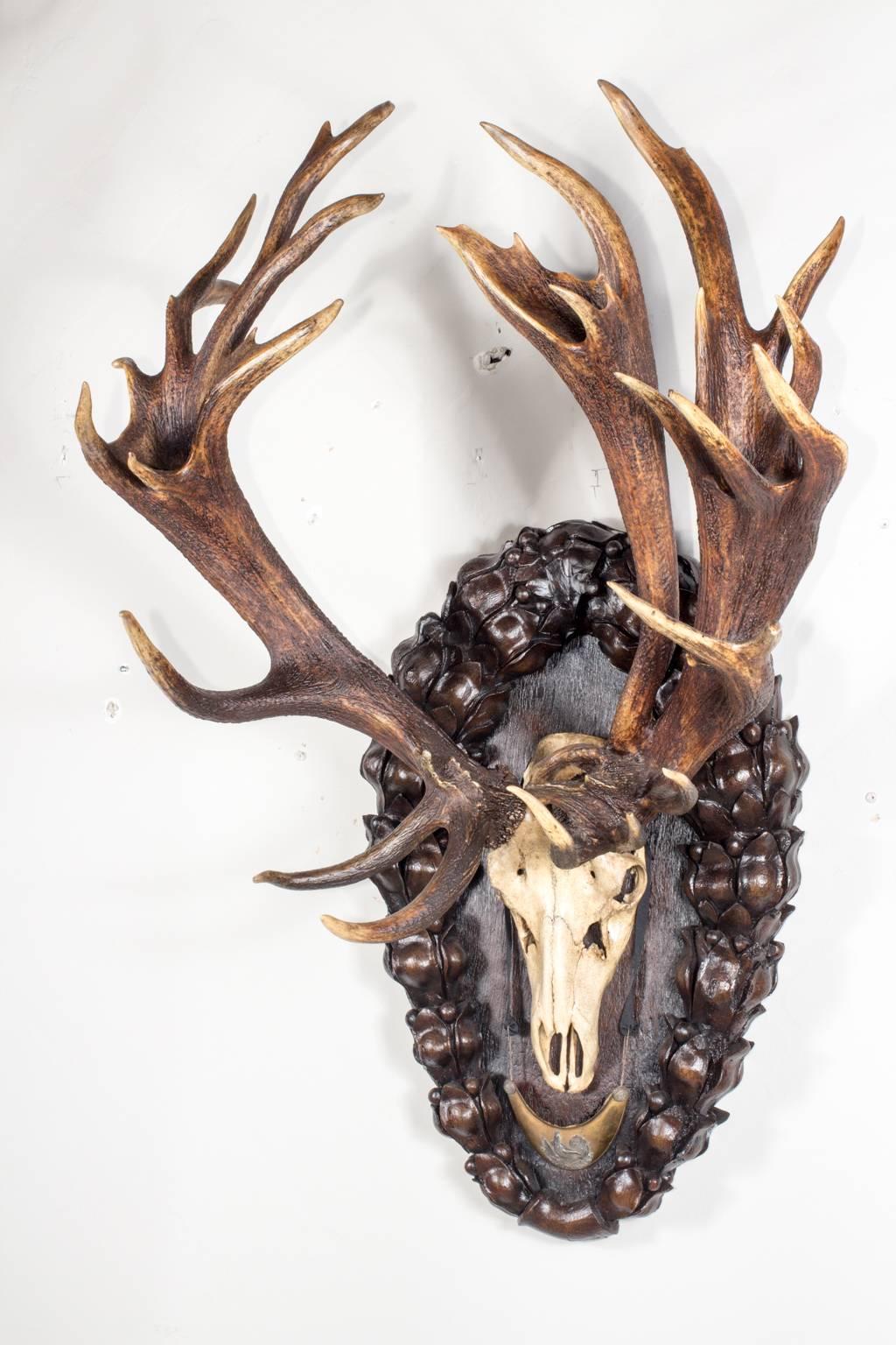 Black Forest The Emperor's 19th C. 3 Beam Red Stag Trophy from Eckartsau Castle, Austria