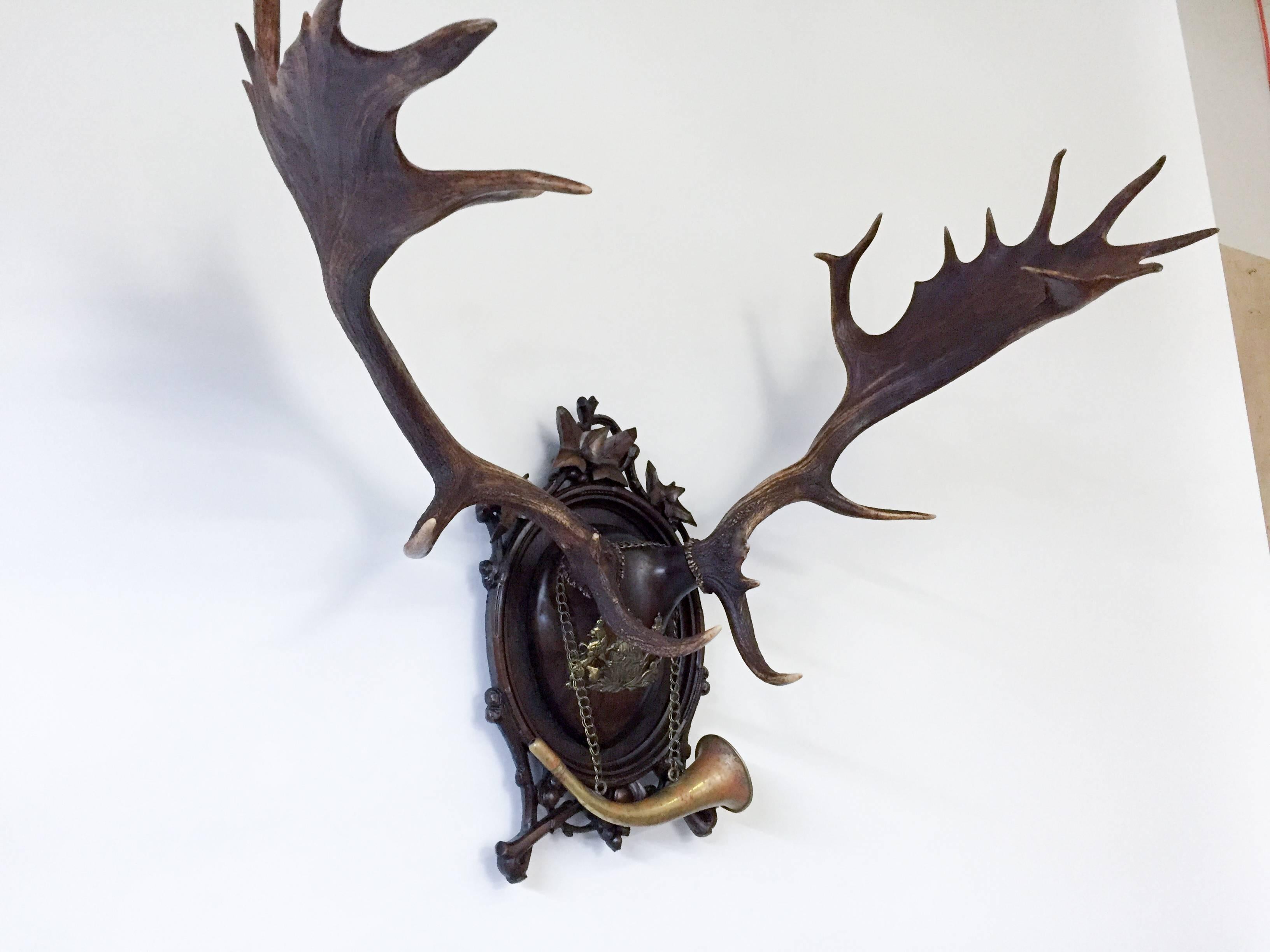 Austrian 19th Century Hand-Carved Habsburg Fallow Deer and Brass Hunting Horn