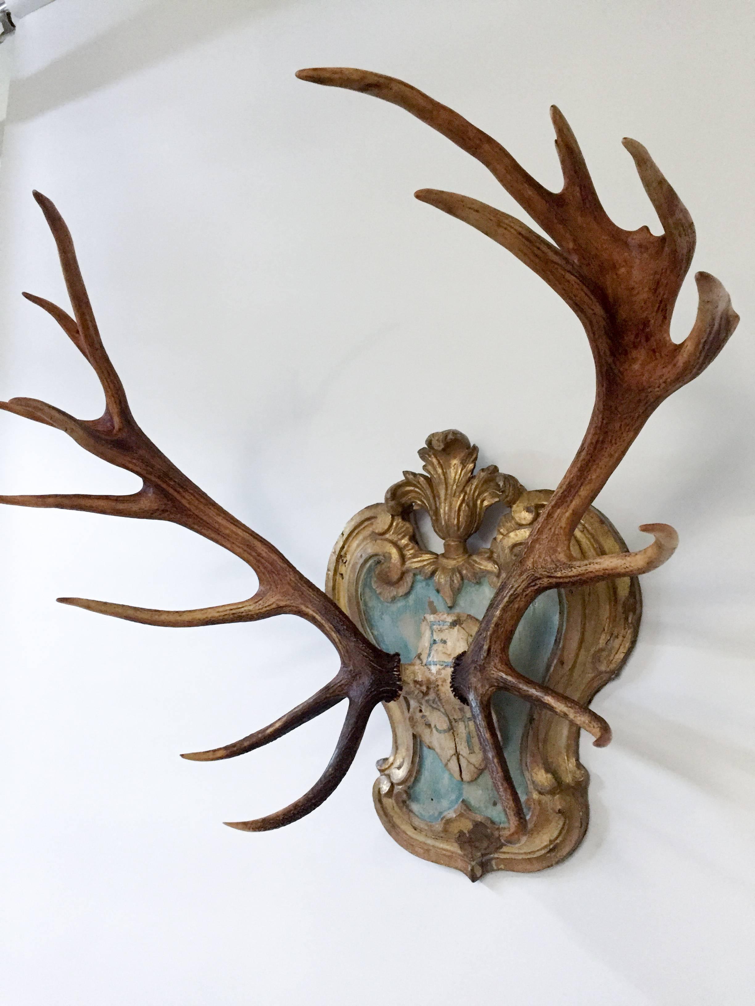 Carved 19th C. Red Stag Trophy on Late 18th-Early 19th Century Tyrolean Plaque
