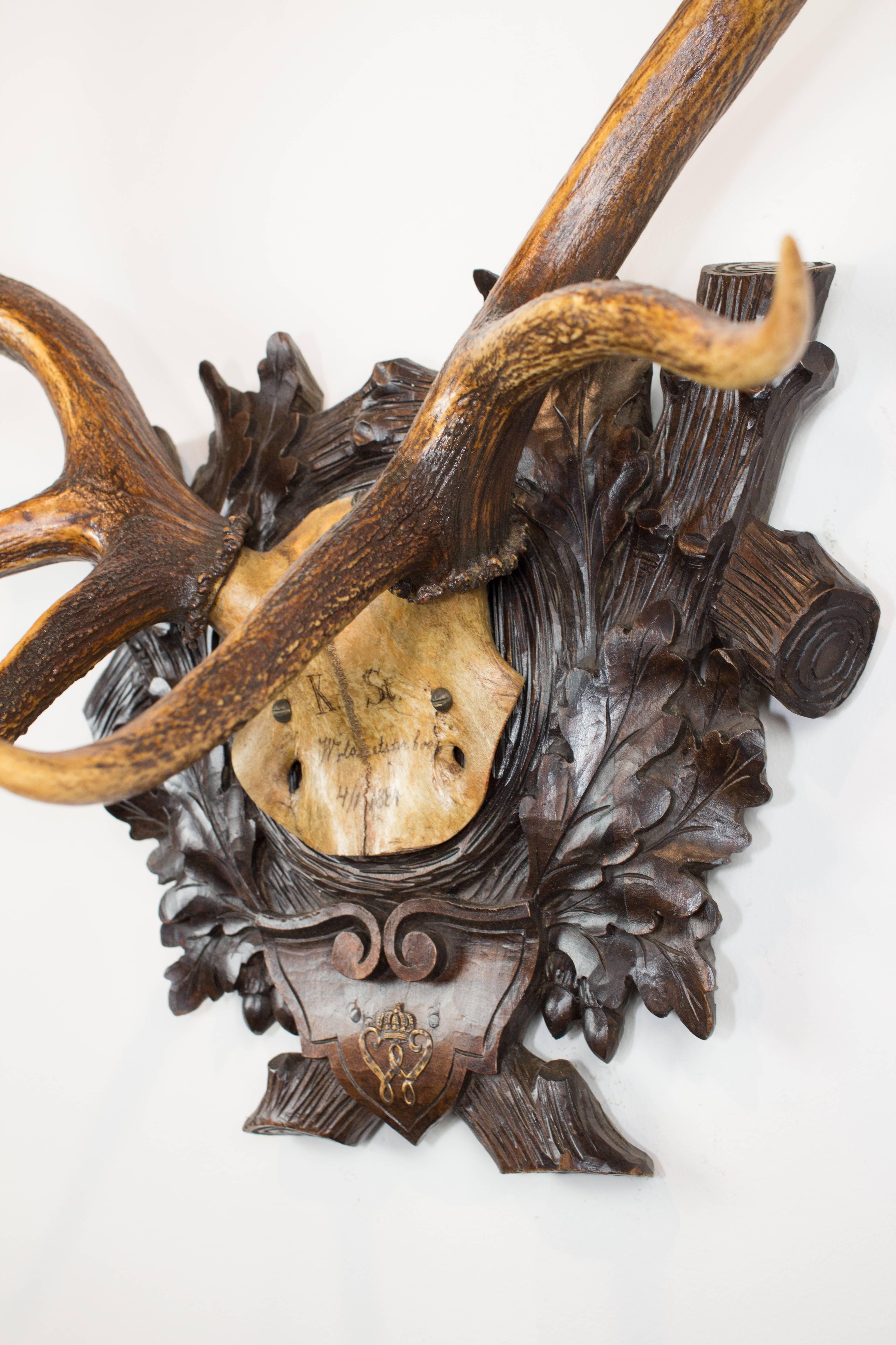 A truly special piece in the collection, this German red stag includes writing on the skull cap featuring a date of 1884 and includes the original Black Forest hand-carved plaque and golden wappen of Kaiser Wilhelm I of Germany.

Plaque measures