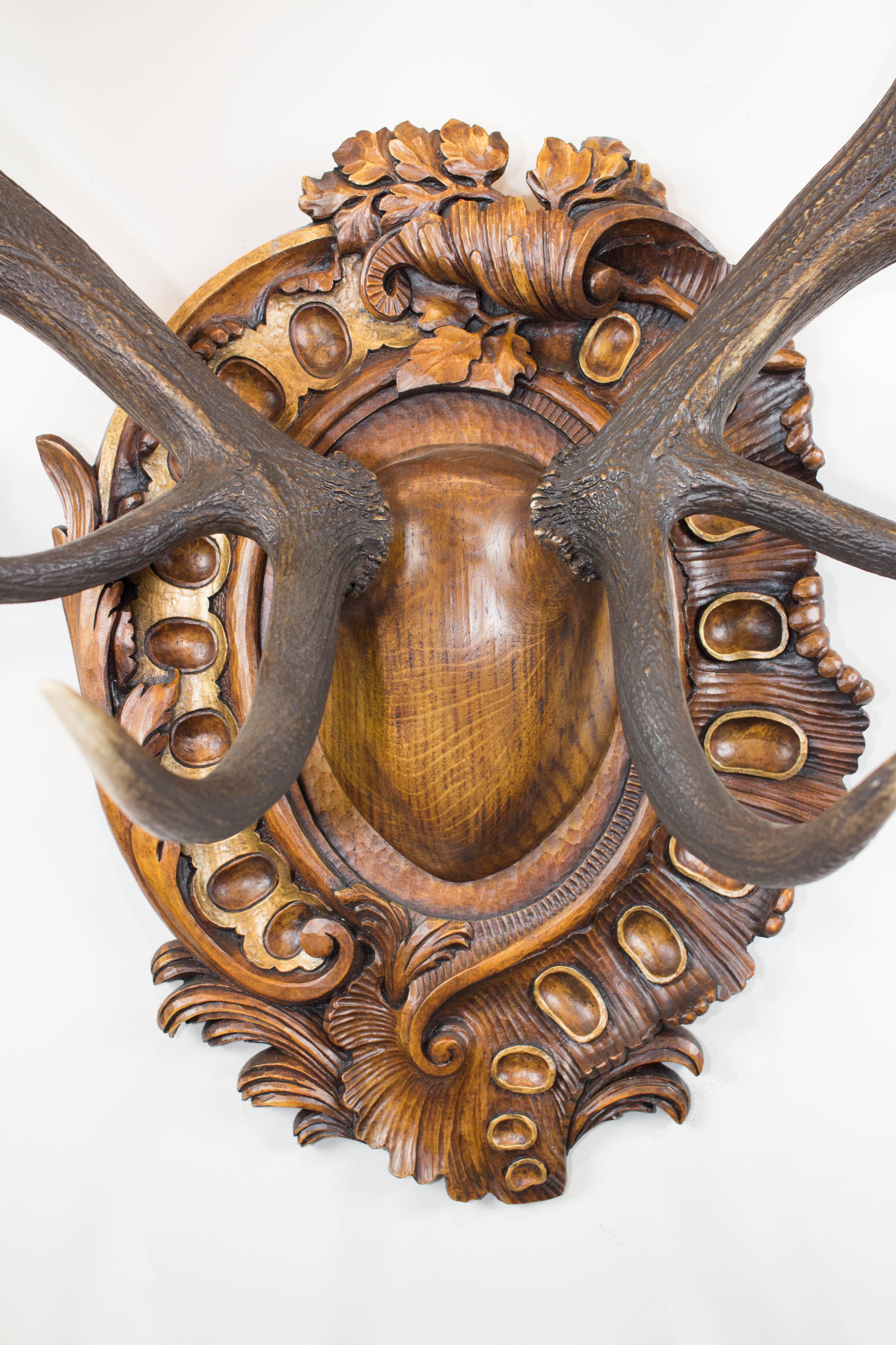19th century Fallow Deer trophy on replacement hand-carved plaque that hung in Emperor Franz Joseph's castle at Eckartsau in the Southern Austrian Alps. Eckartsau was a favorite hunting schloss of the Habsburg family. The hand-carved linden wood