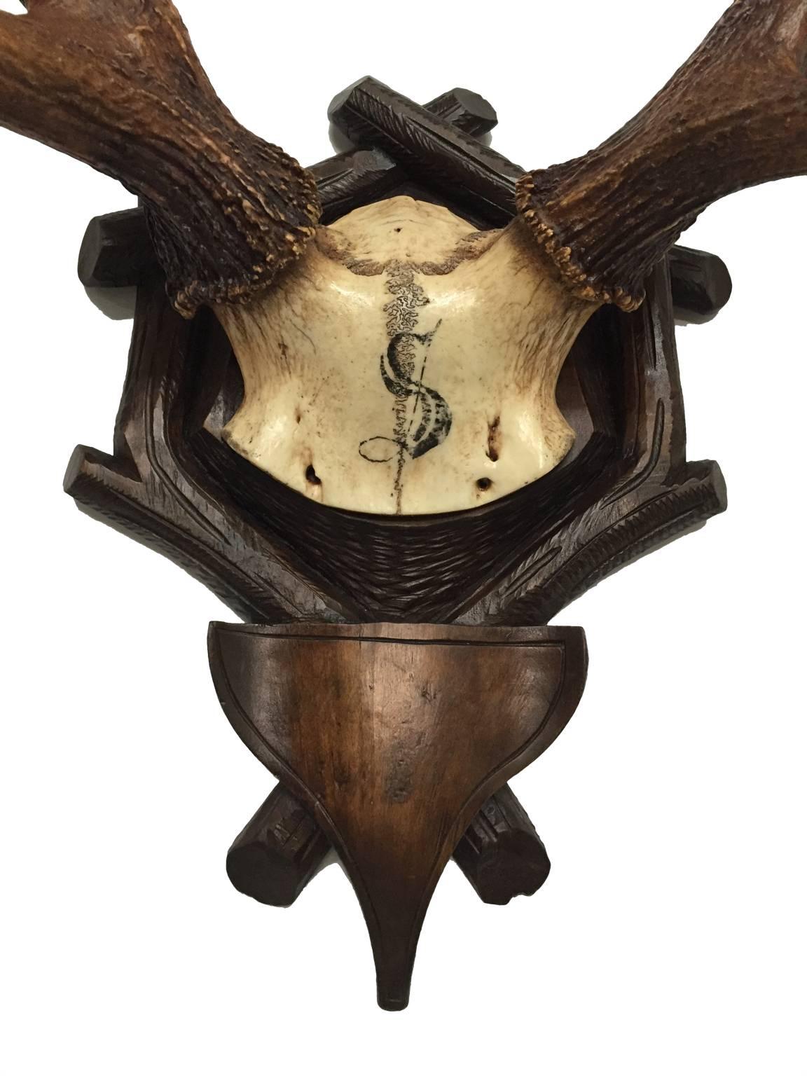 Carved 19th Century Sika Trophy Attributed to Baron Von Schilling