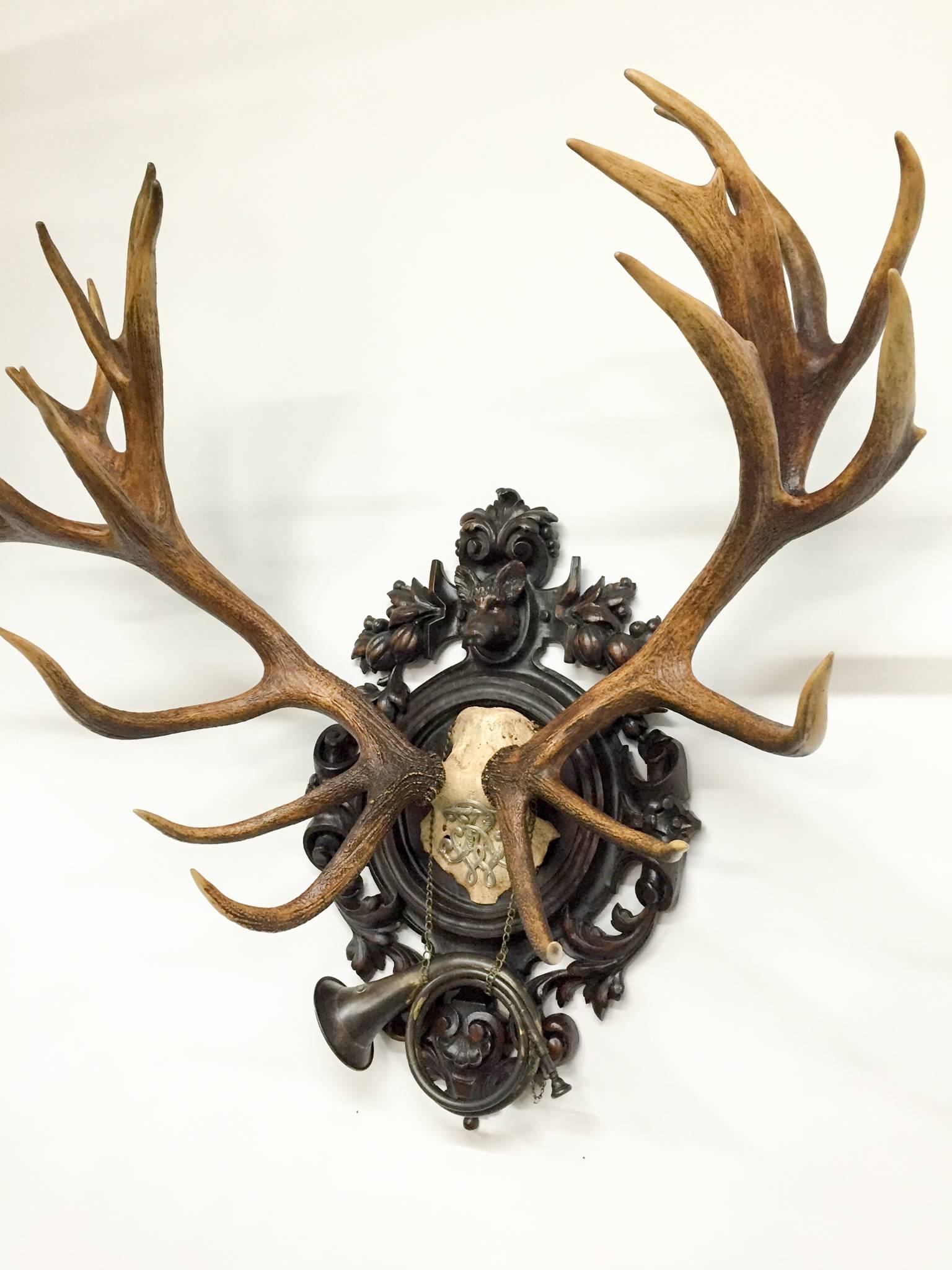 Black Forest 19th Century Red Stag Trophy with Cypher of Frederick III of Germany