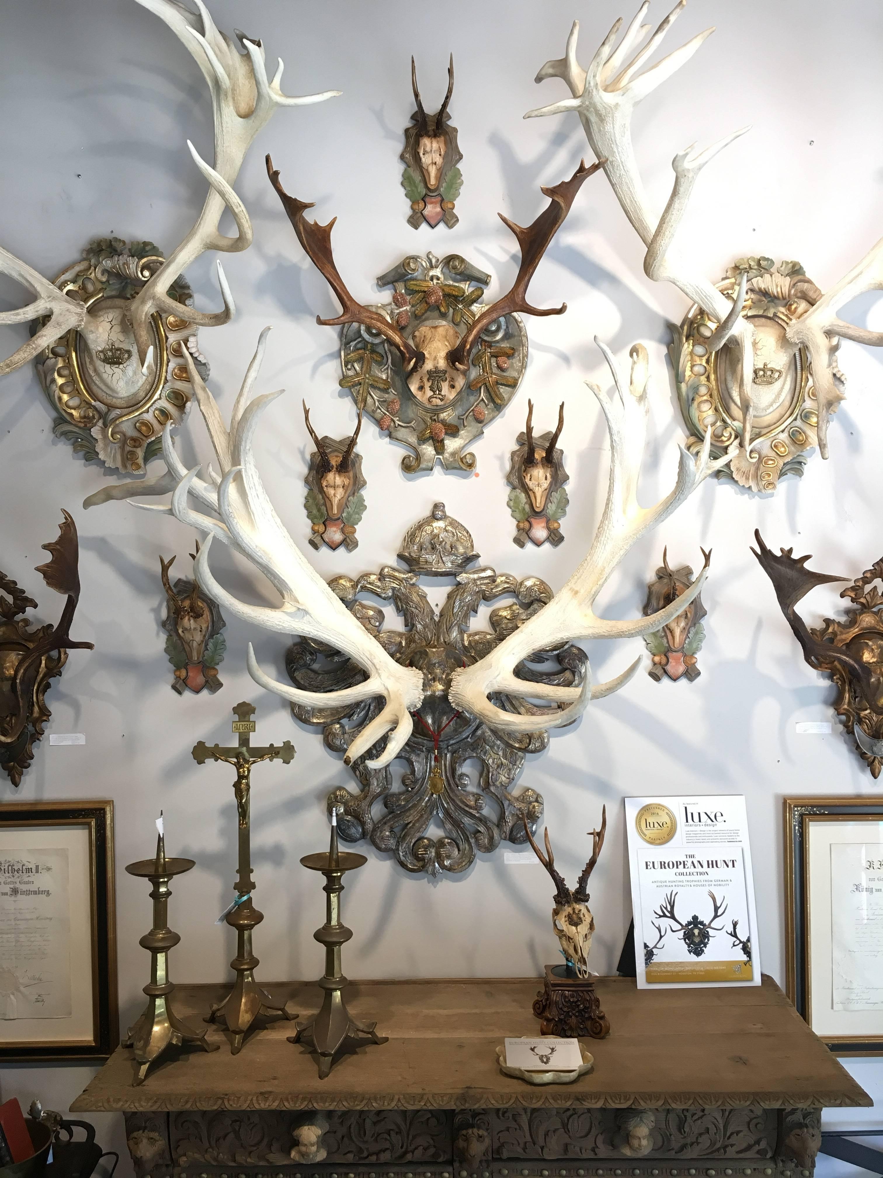 19th Century Habsburg Red Stag Trophy from Franz Joseph's Castle at Eckartsau 3