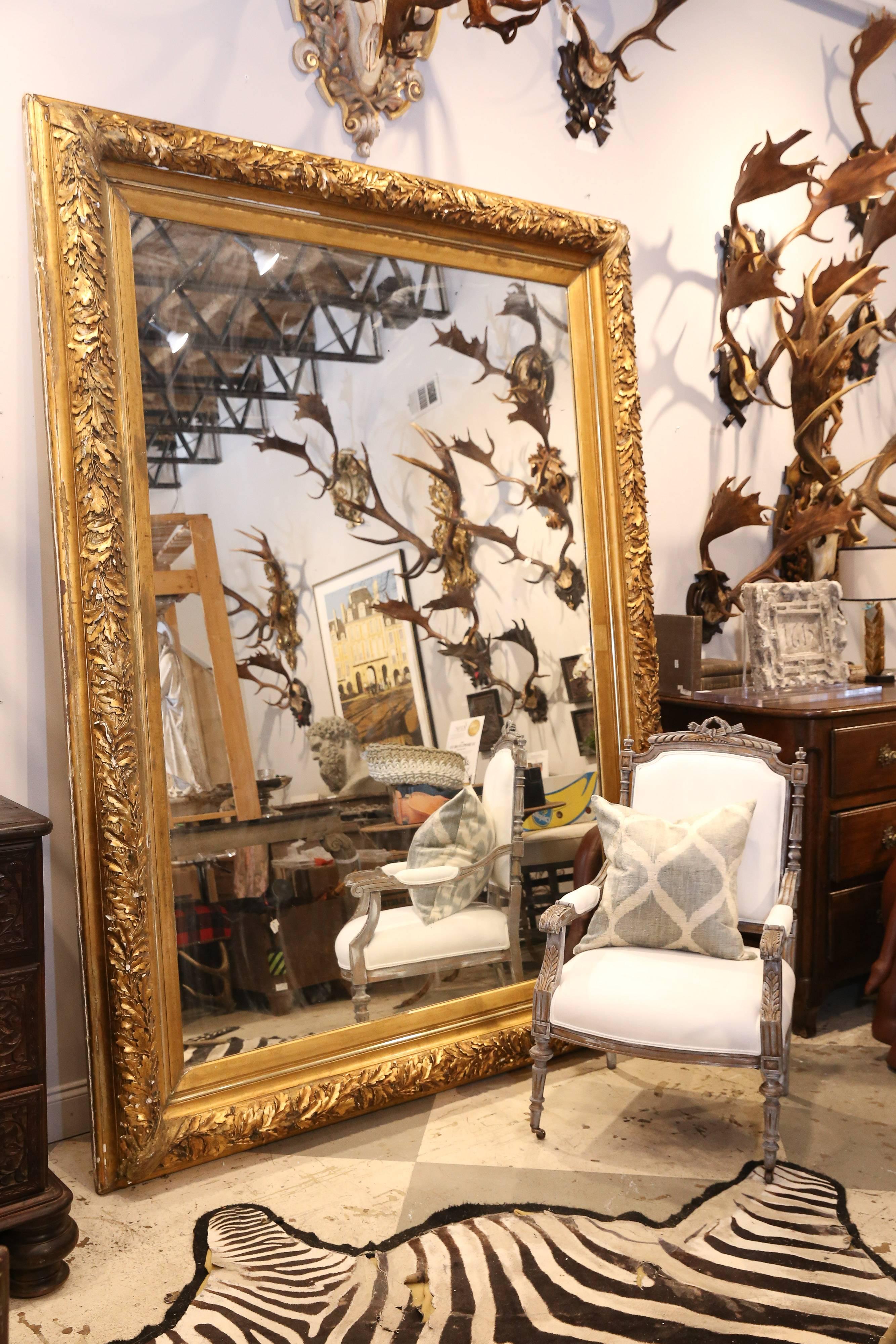 Antique French carved gilt mirror with oak leaf and acorn detail that we discovered during our recent time in Europe. Exquisitely carved ashwood and edges of mirror are distressed in certain areas given its age and use over time. Believed to date to