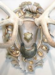 19th Century Habsburg Red Stag on Hand-Carved Italian Polychrome Gilt Plaque
