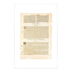 Antique 16th Century Text from "Anatomes Totius" Human Anatomy Medical Text on Acrylic