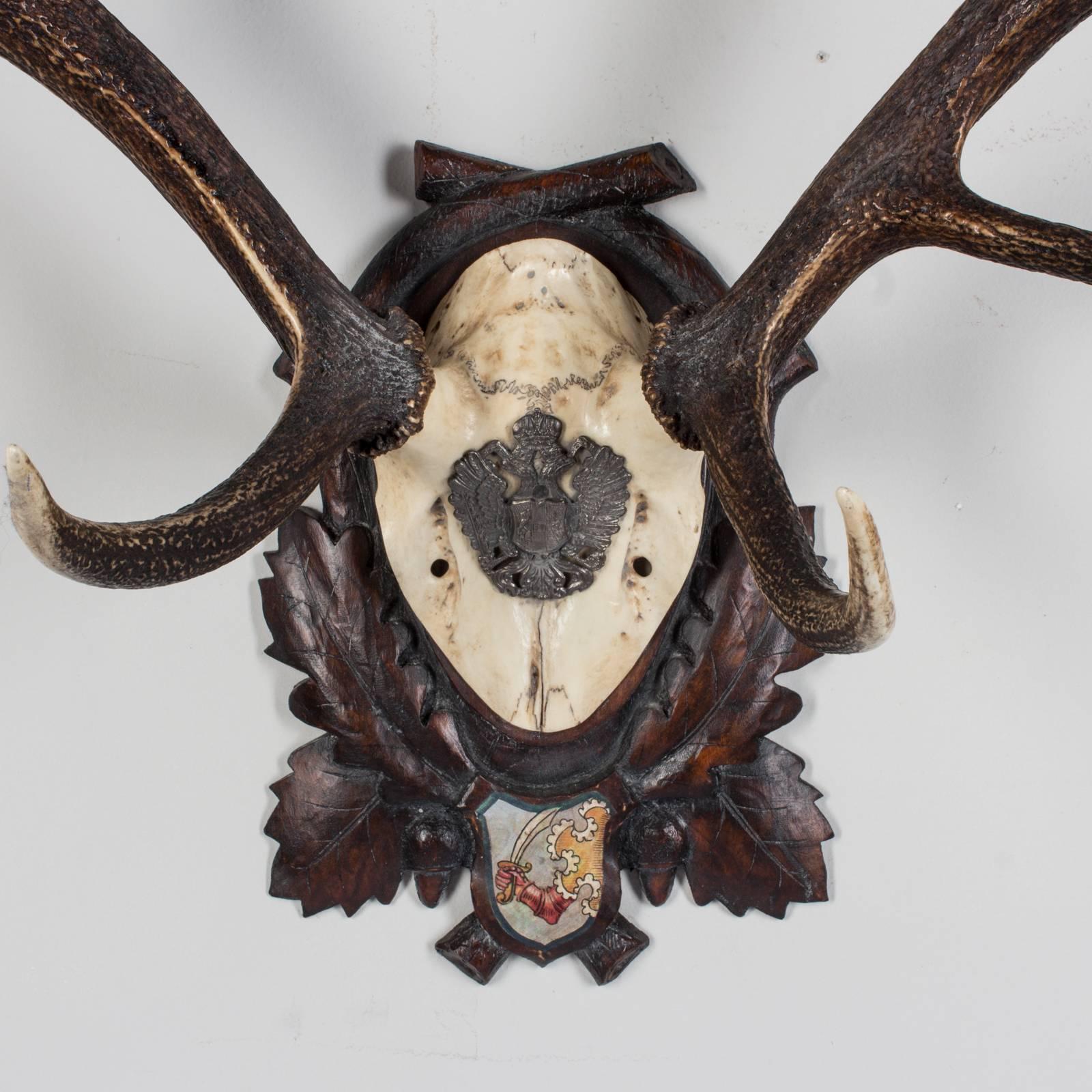19th century Austrian red stag on original black forest carved plaque that hung in Emperor Franz Joseph's castle at Eckartsau in the Southern Austrian Alps. Eckartsau was a favorite hunting schloss of the Habsburg family. The plaque itself is