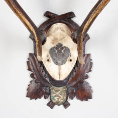 19th Century Austrian Habsburg Red Stag Trophy of Emperor Franz Josef of Austria