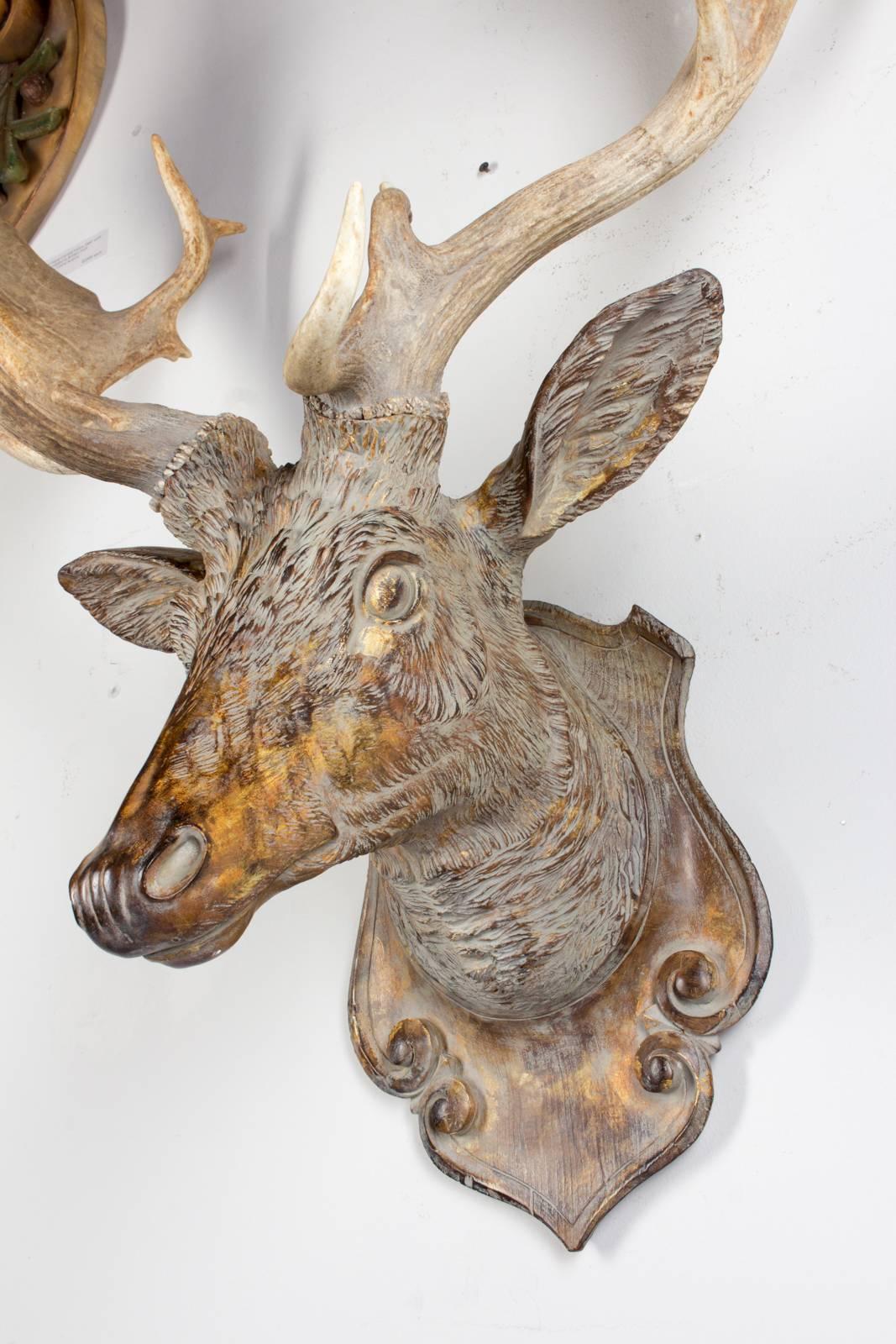 Austrian Terracotta Fallow Deer Trophy with Antique Habsburg Antlers from Austria
