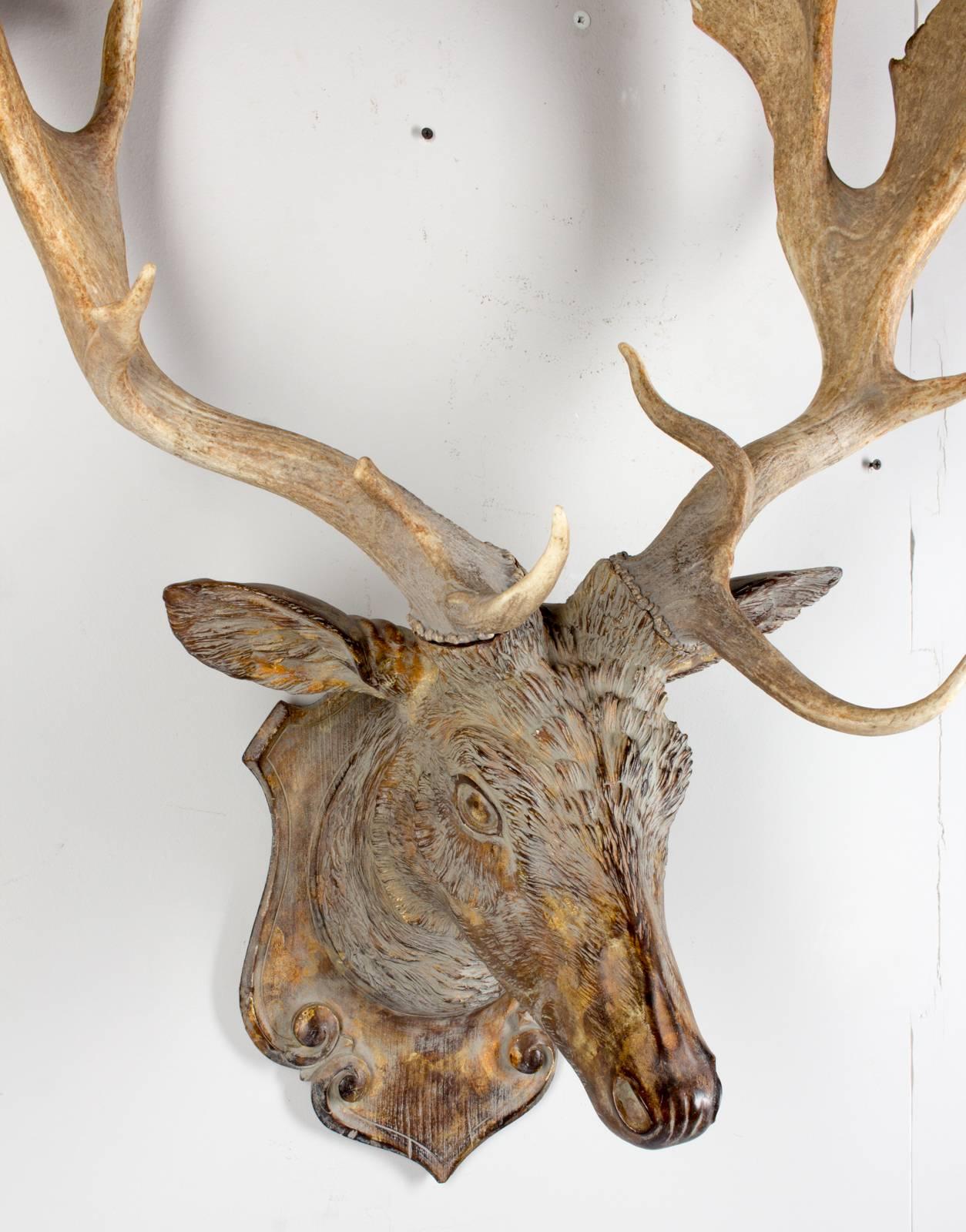 An exquisite Fallow Deer hunting trophy crafted of terracotta faux bois with 19th century Habsburg antlers from Emperor Franz Josef's castle at Eckartsau in the Southern Austrian Alps, a favorite hunting schloss of the Habsburg royal family. The