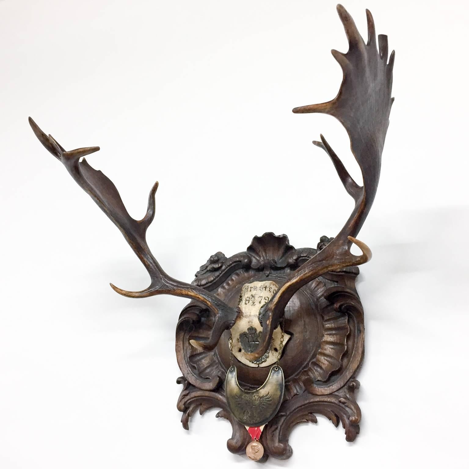 Black Forest Habsburg Fallow Trophy on Original Plaque with Austro-Hungarian Gorget