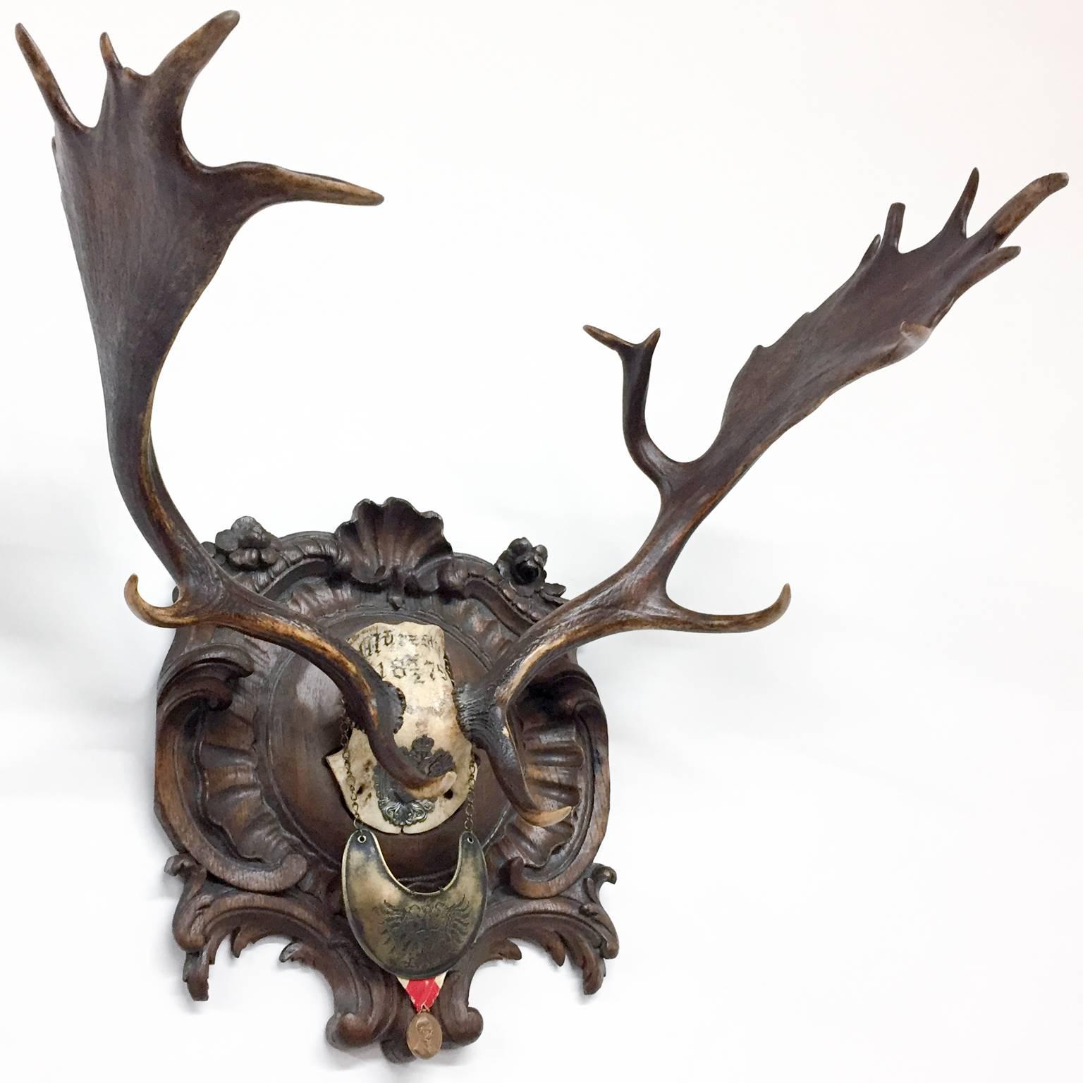 This 19th century fallow deer trophy originally from Emperor Franz Josef's castle in Eckartsau in the Southern Austrian Alps. This trophy features a hand-carved original plaque, decorated with Austro-Hungarian wappen, gorget and veterans medal. The