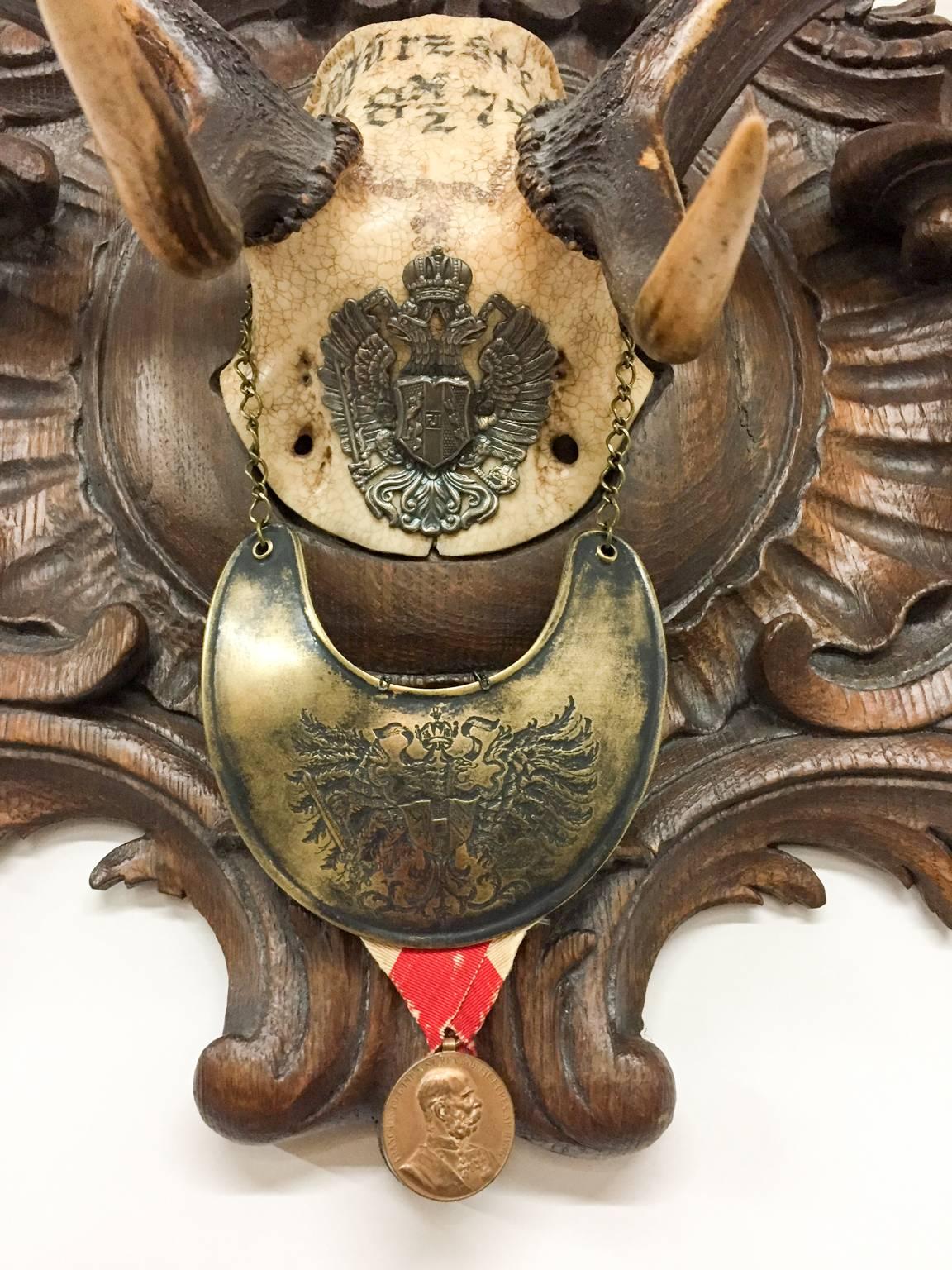 19th Century Habsburg Fallow Trophy on Original Plaque with Austro-Hungarian Gorget
