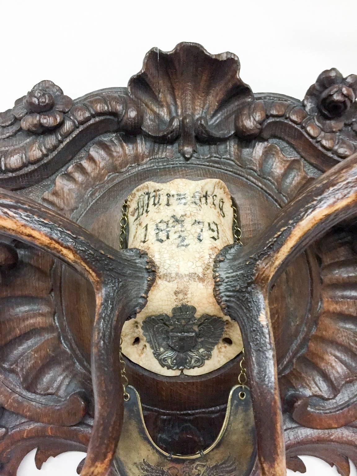 Hand-Carved Habsburg Fallow Trophy on Original Plaque with Austro-Hungarian Gorget