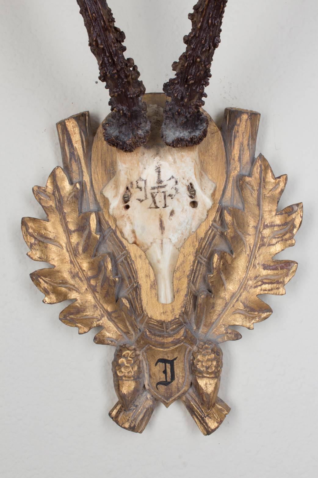 19th century Roe Deer trophy believed to have been taken by Emperor Franz Josef during his time at the Kaiservilla, the summer palace of the great Austro-Hungarian monarchy in the small village of Bad Ischl, Austria. Original plaque and initial