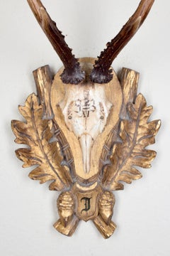 19th Century Roe Trophy of Emperor Franz Josef, Kaiservilla, Bad Ischl, Austria