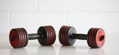 1950s York "Aristocrat" Dumbbell Set