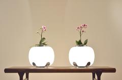 Italian Design Alfredo Barbini Opalescent Glass and Chrome Flower Vase Lamps