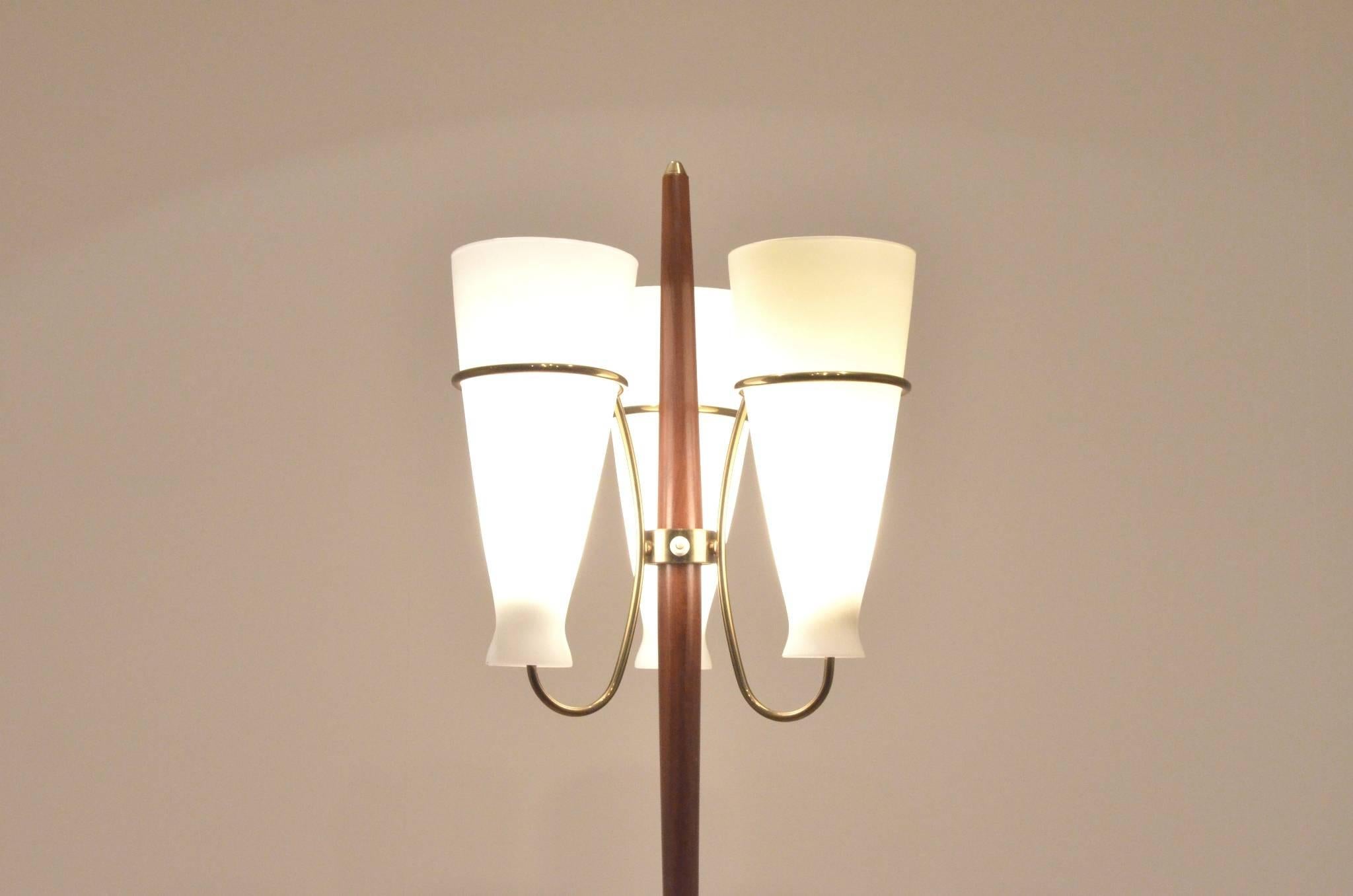 Nice Mid-Century Italian floor lamp, brass elements matched with opalescent glass diffusers and central teak wood rod.