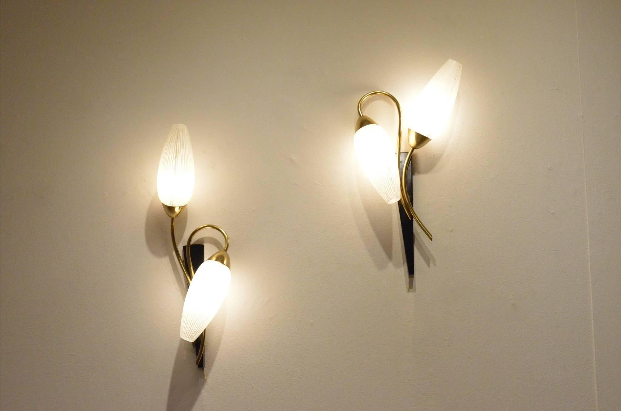 Pair of Mid-Century French Floral Shaped Brass and Etched Glass Wall Sconces 3